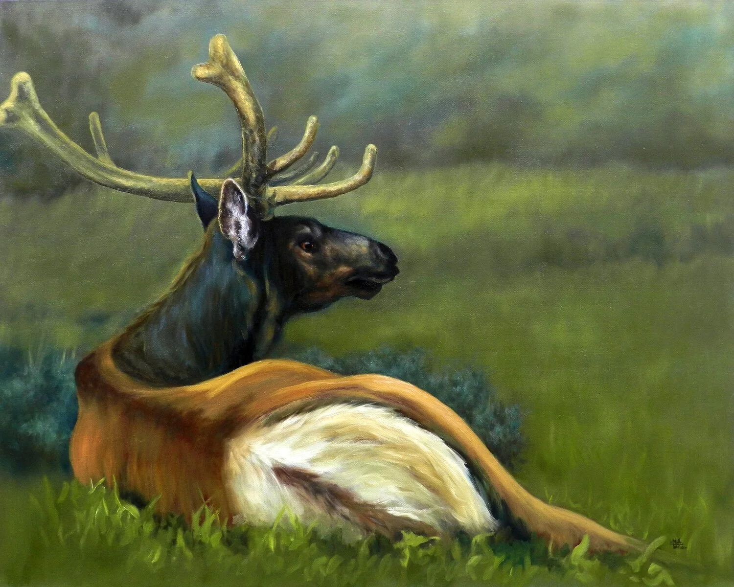 Elk Matt Tomko small Final.jpg