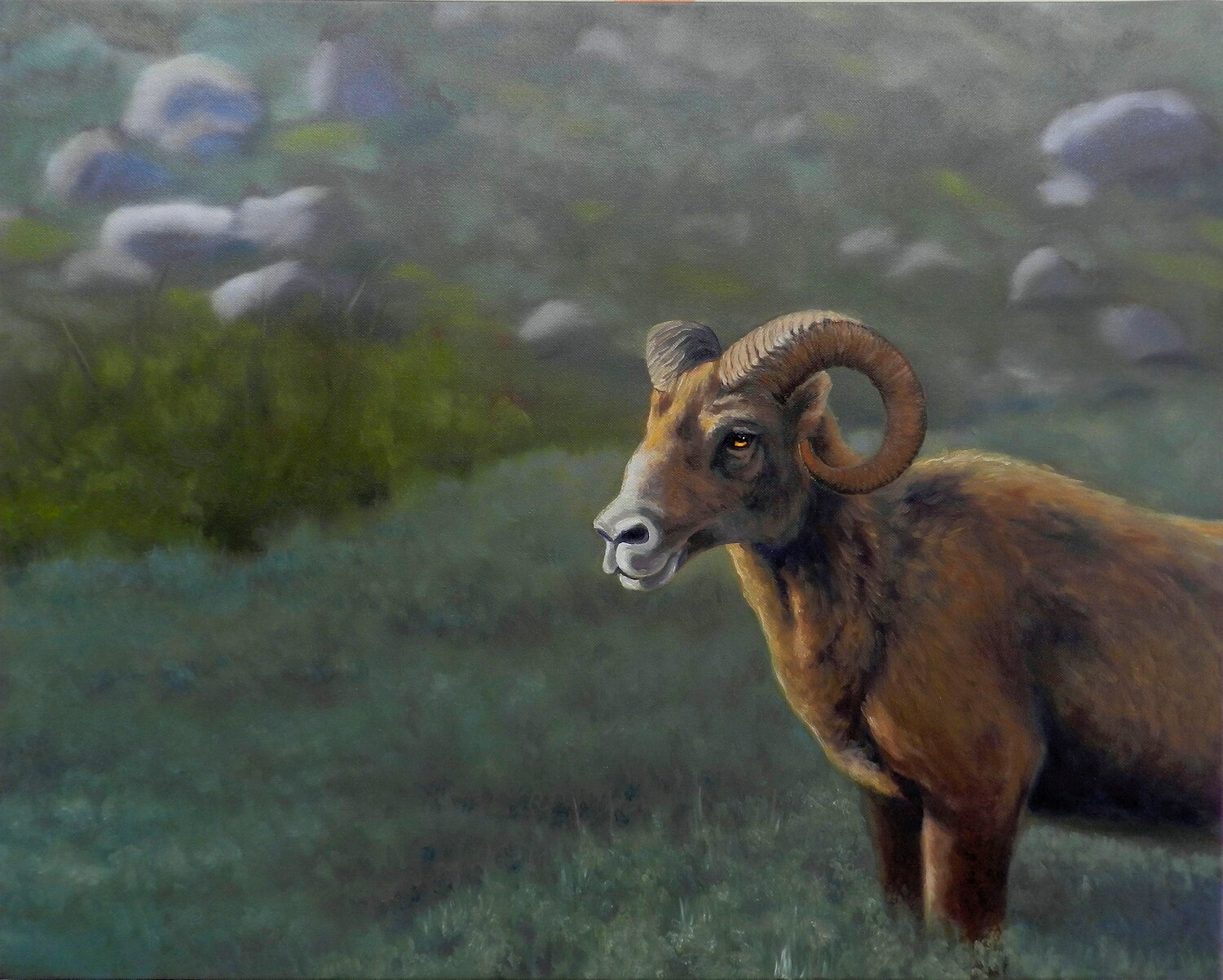 Rocky Mountain Bighorn Sheep Final small.jpg