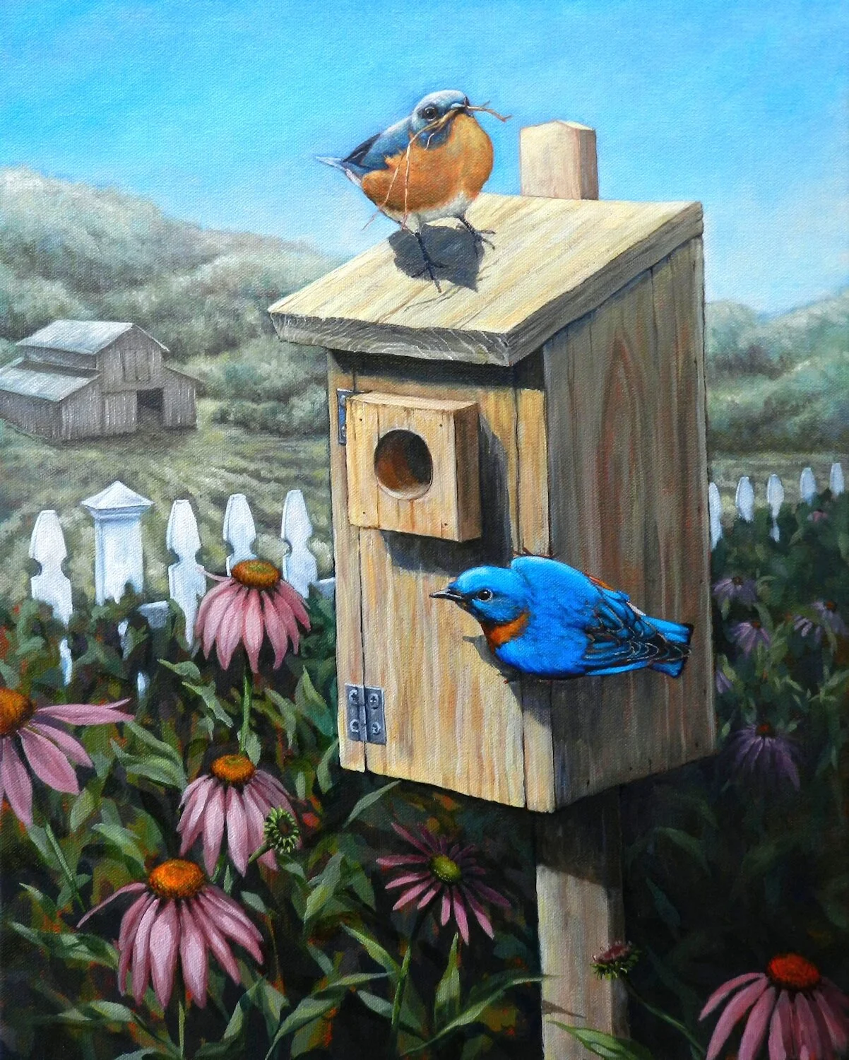 NATURE & WILDLIFE — MATT TOMKO ART