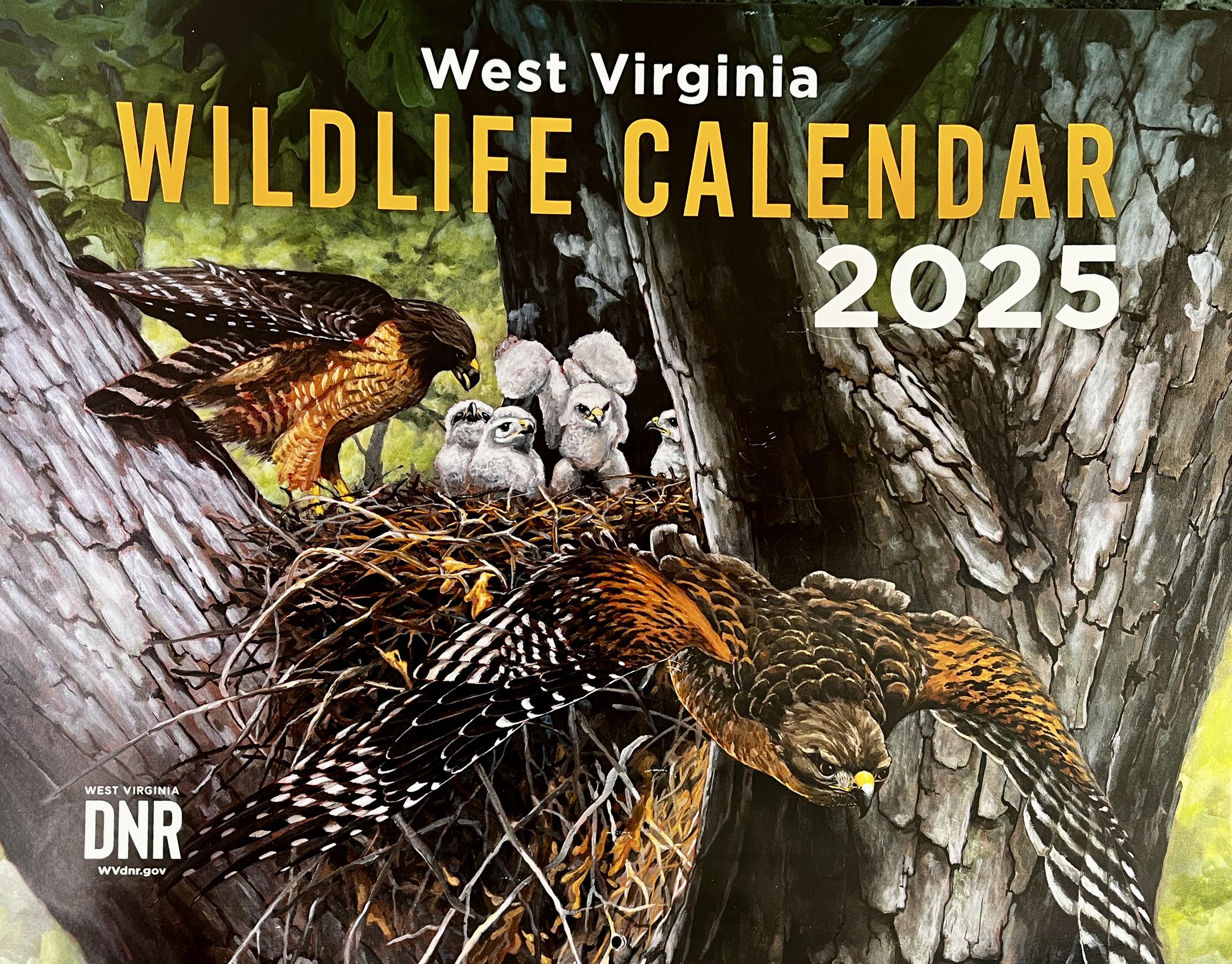 2025 West Virginia Wildlife Calendar - Cover