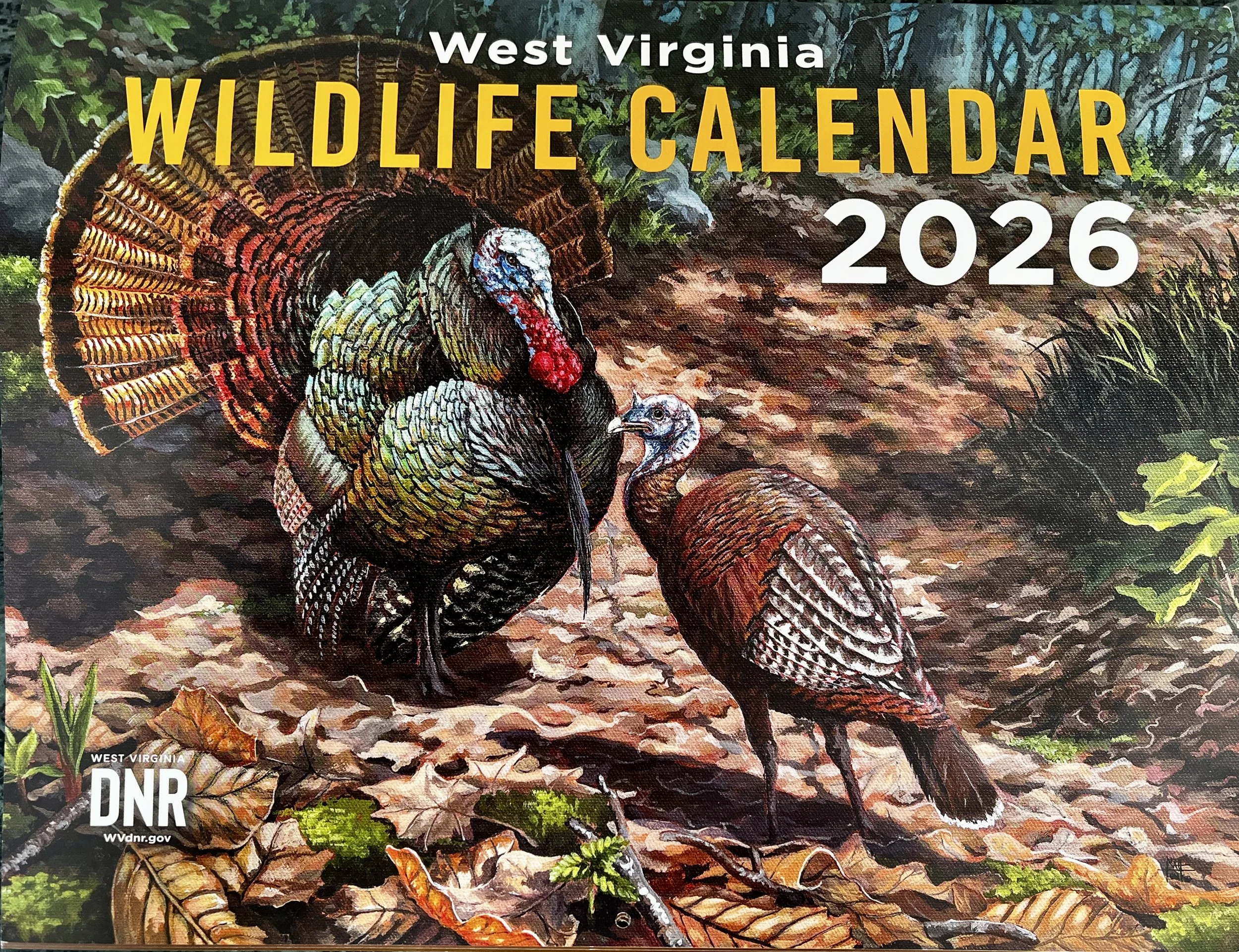 WV 2026.jpeg