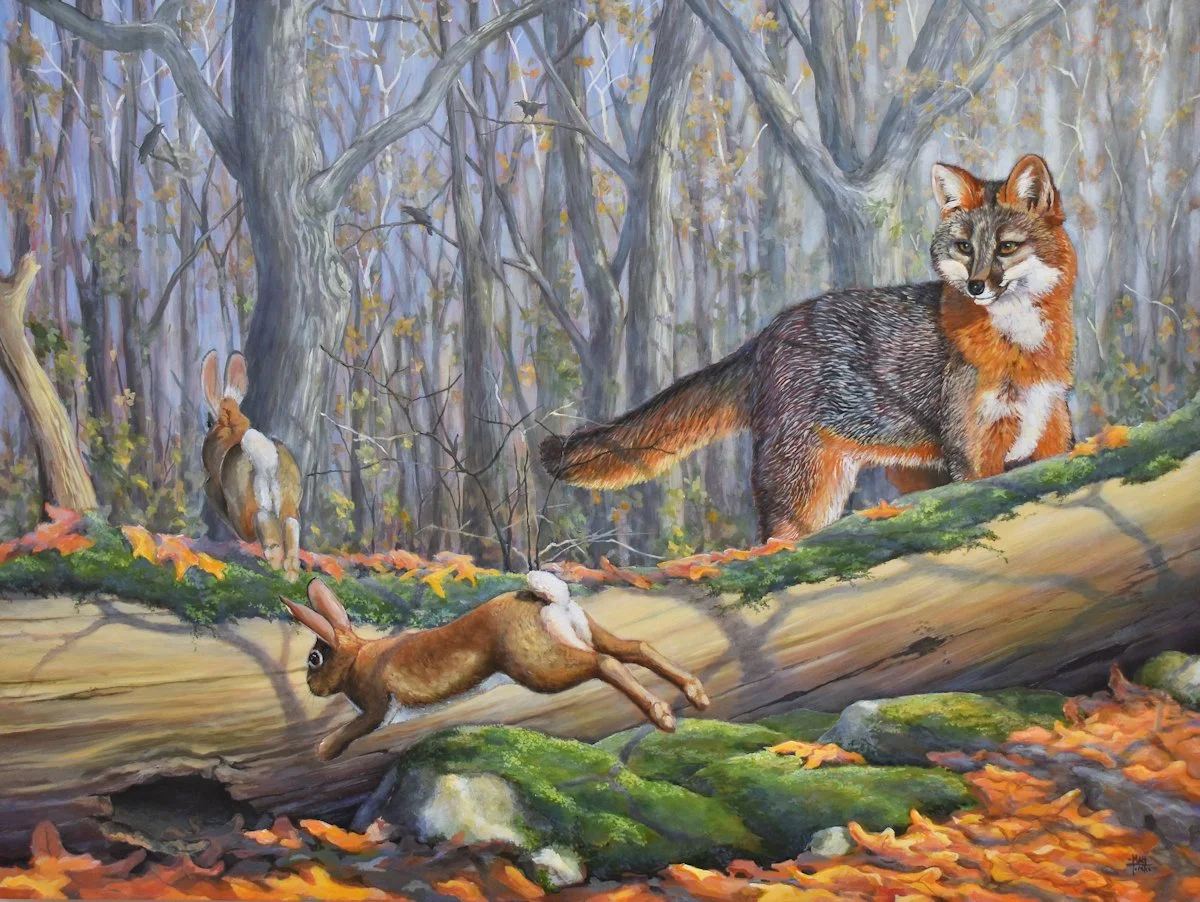 OutFoxed | 2026 WV