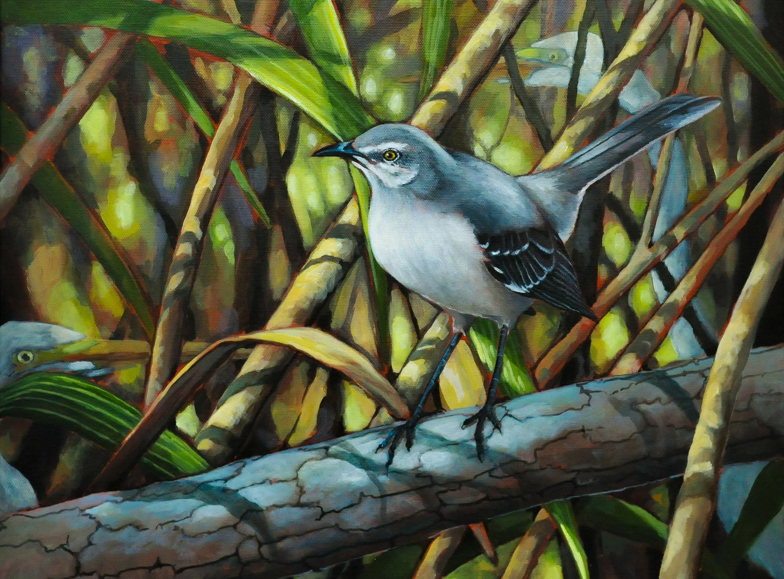 Mockingbird (Among the Egrets) | 2019 NC Cover