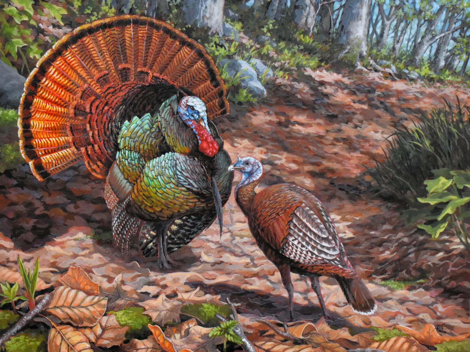 Spring's Grand Display | WV 2026 Cover - 2027 NC