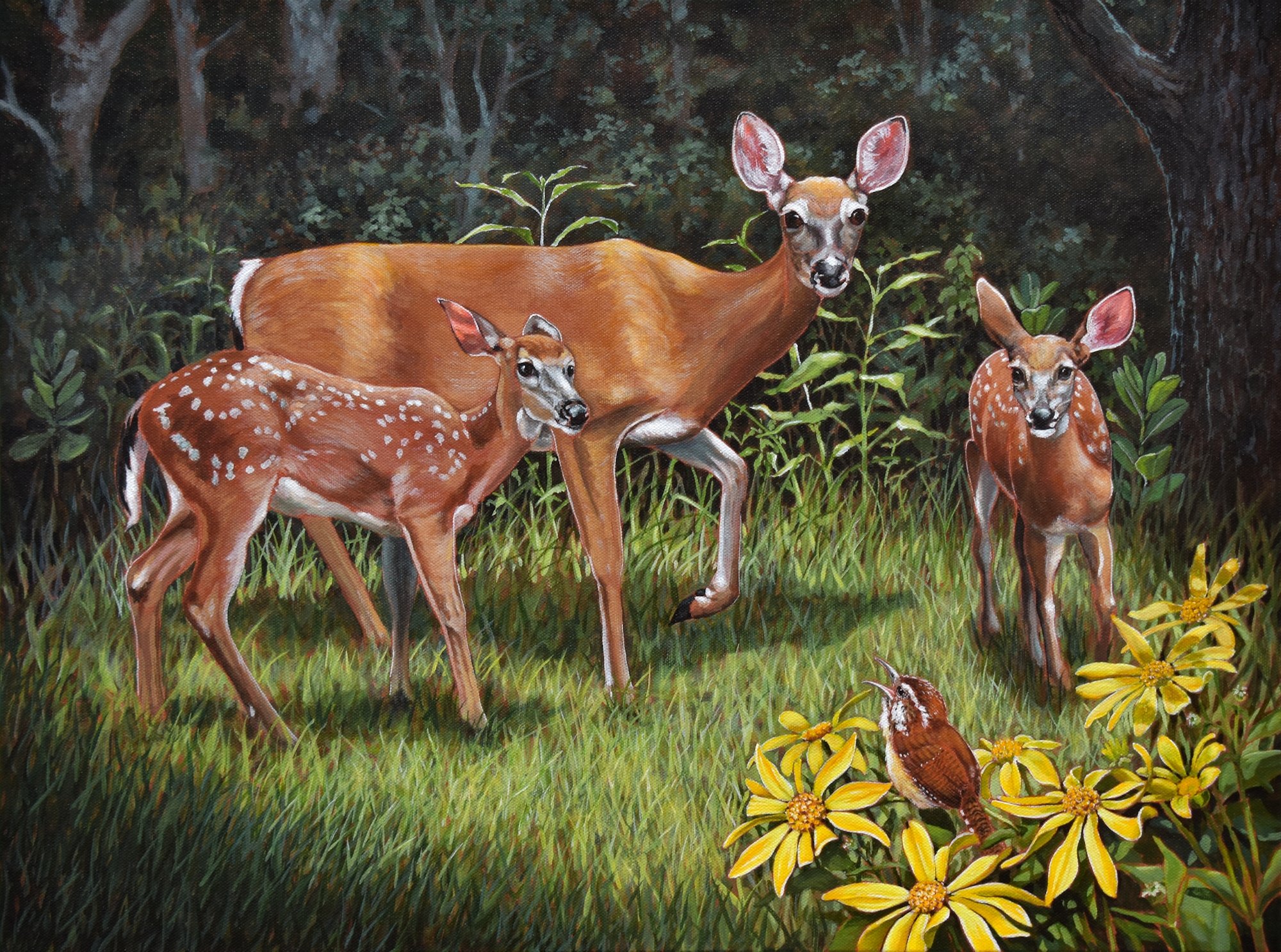 Concert in the Clearing Matt Tomko small.jpg