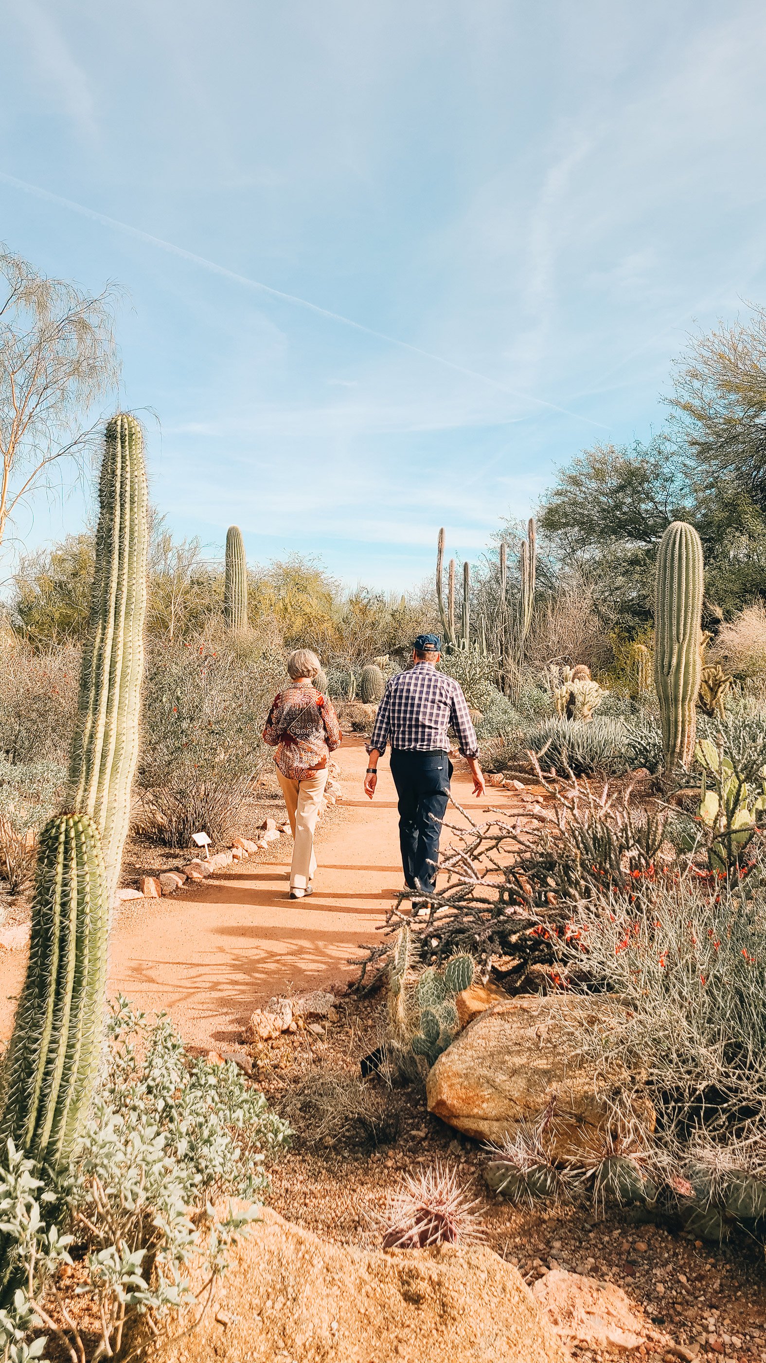 AZ_4.jpg