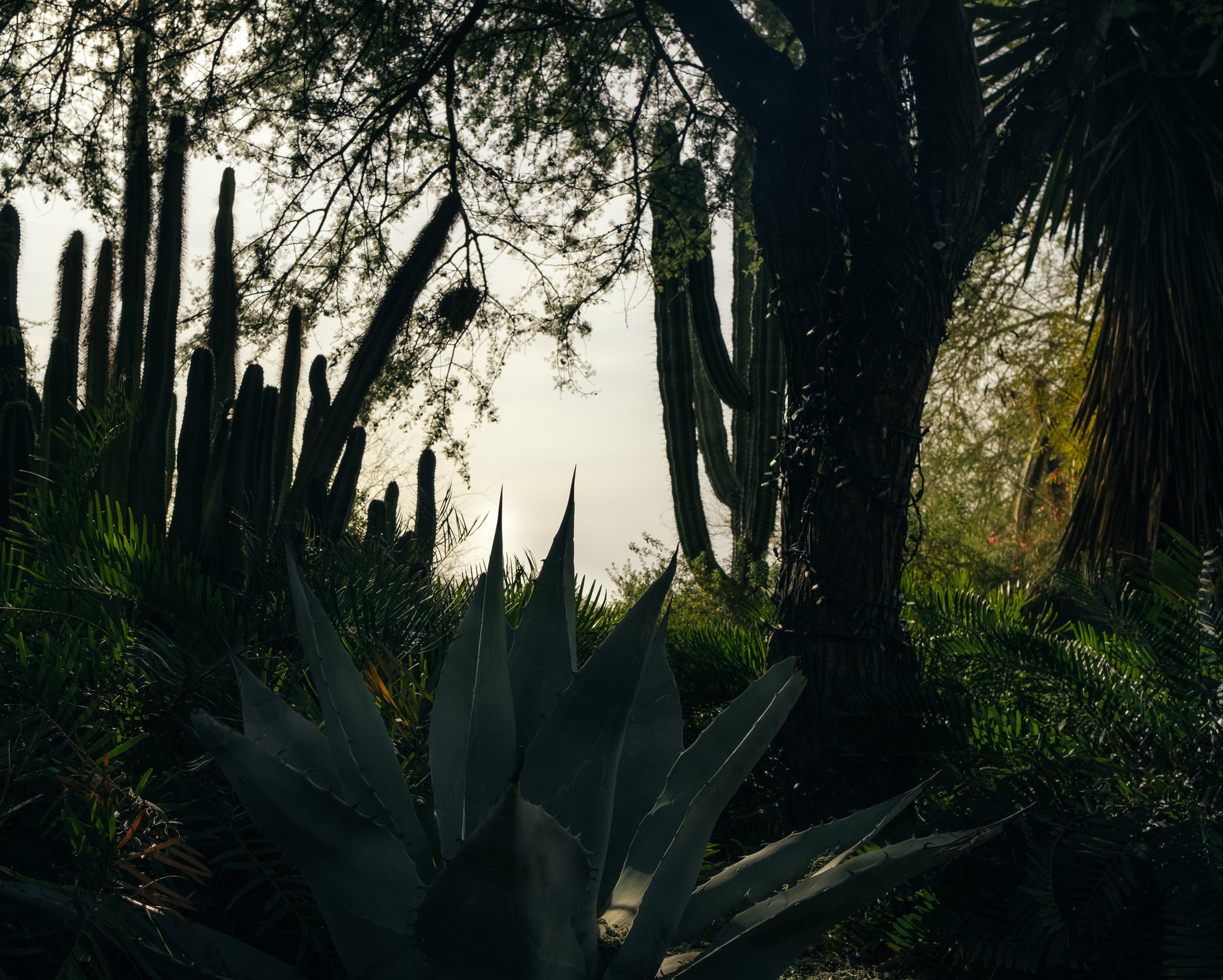 AZ_11.jpg