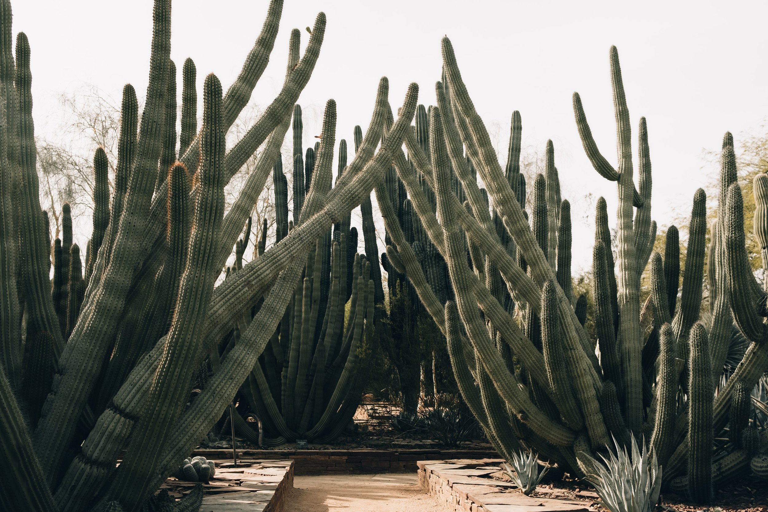 AZ_19.jpg