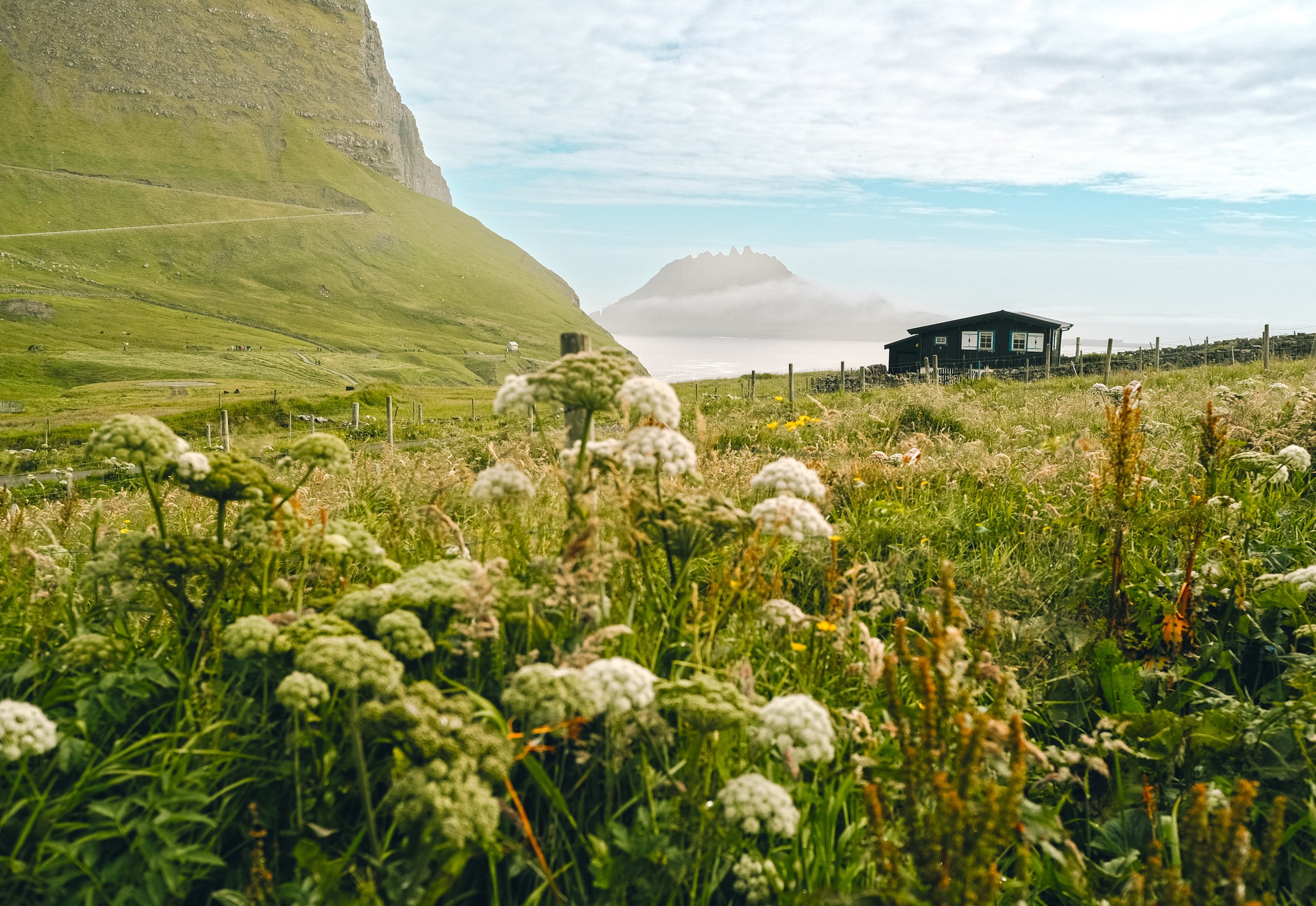Nothing but the sounds of seabirds and waves crashing against the rocks down below.