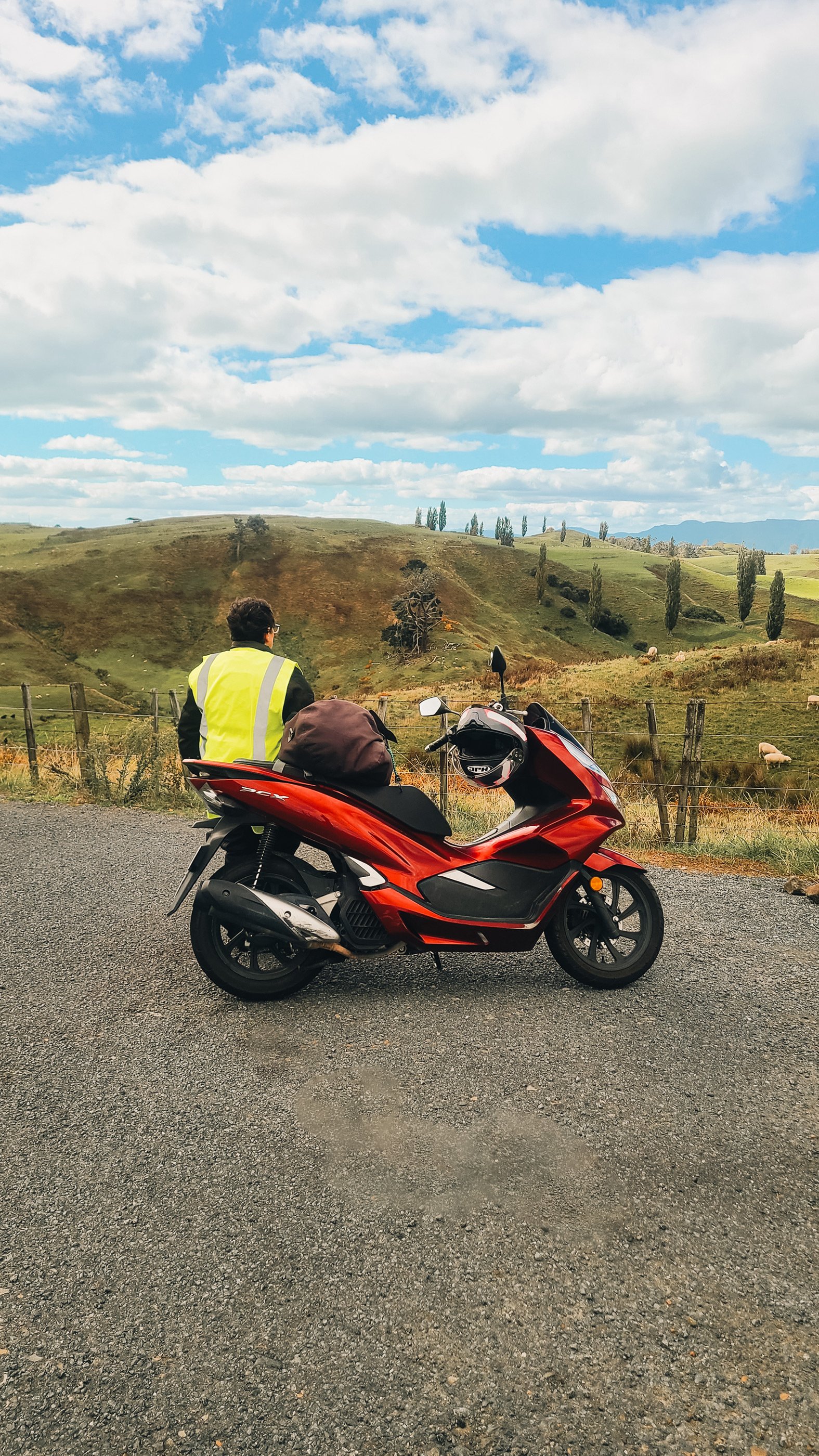 NZ_13.jpg
