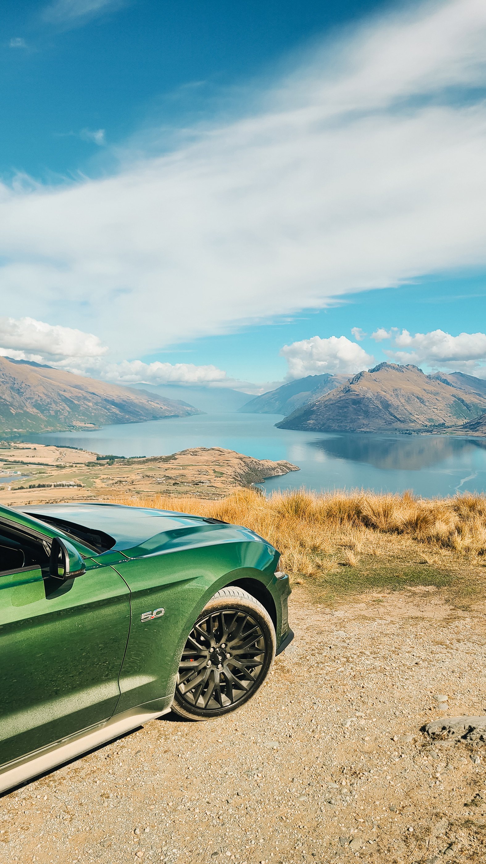 NZ_21.jpg