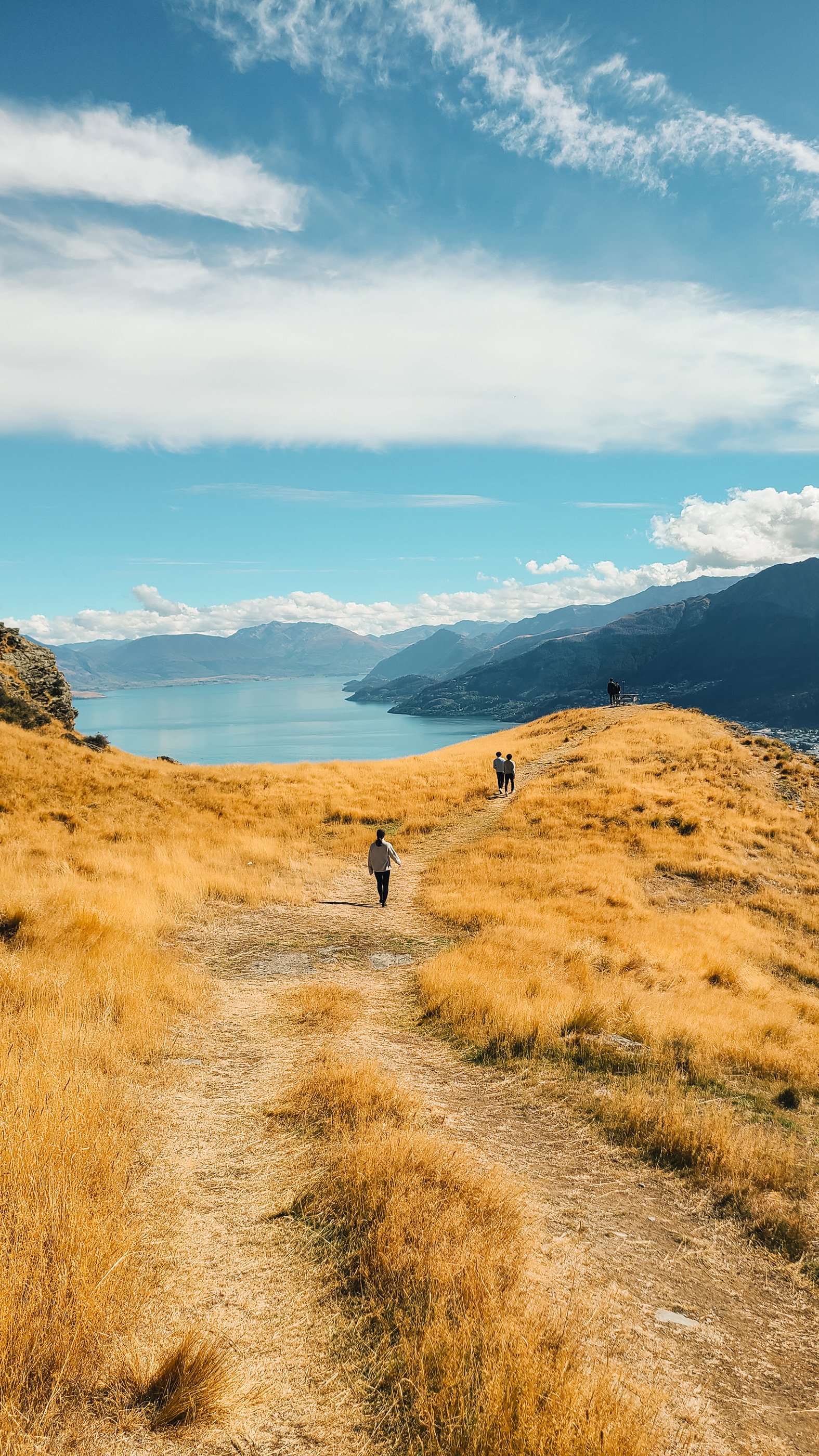 NZ_23.jpg