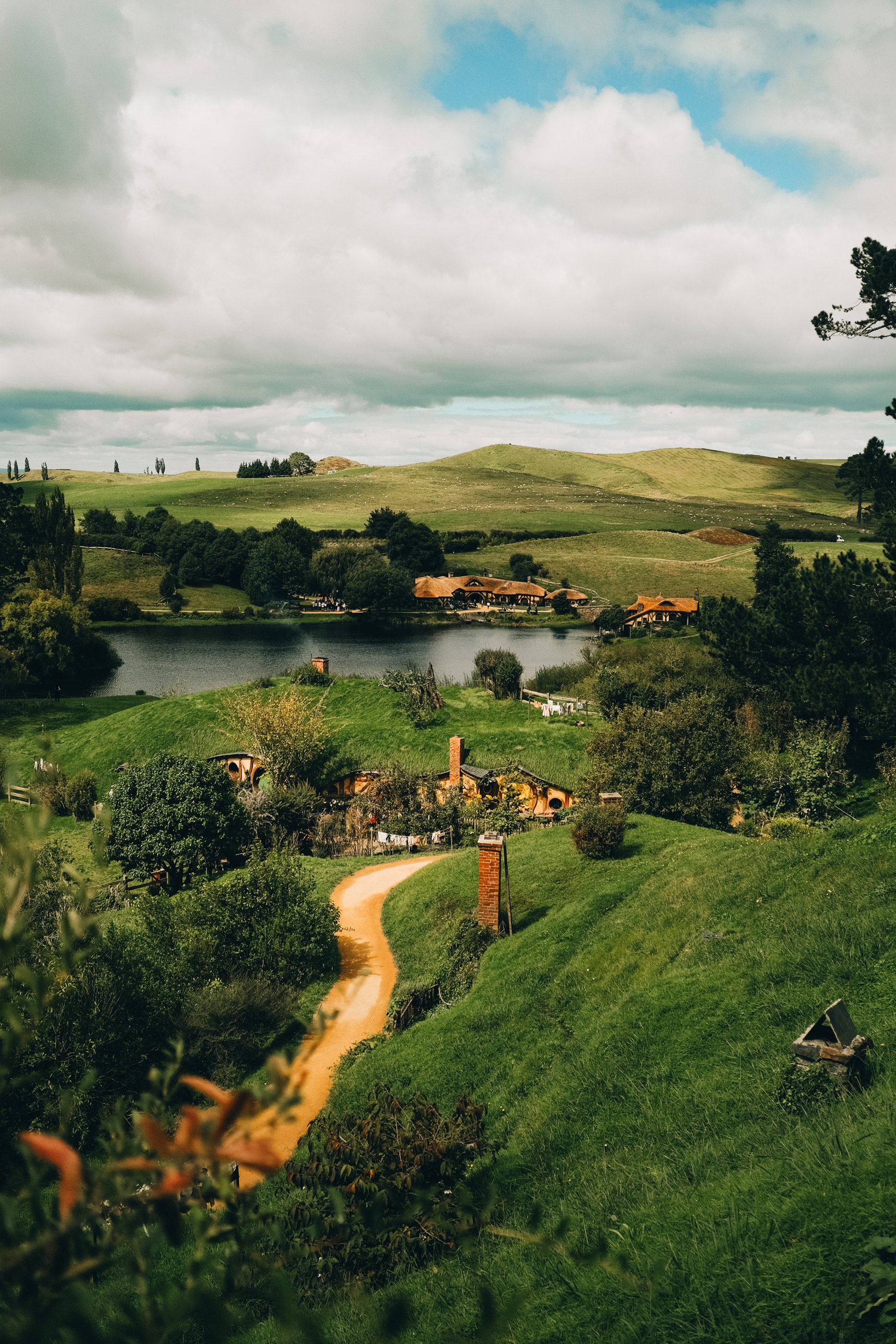 NZ_28.jpg
