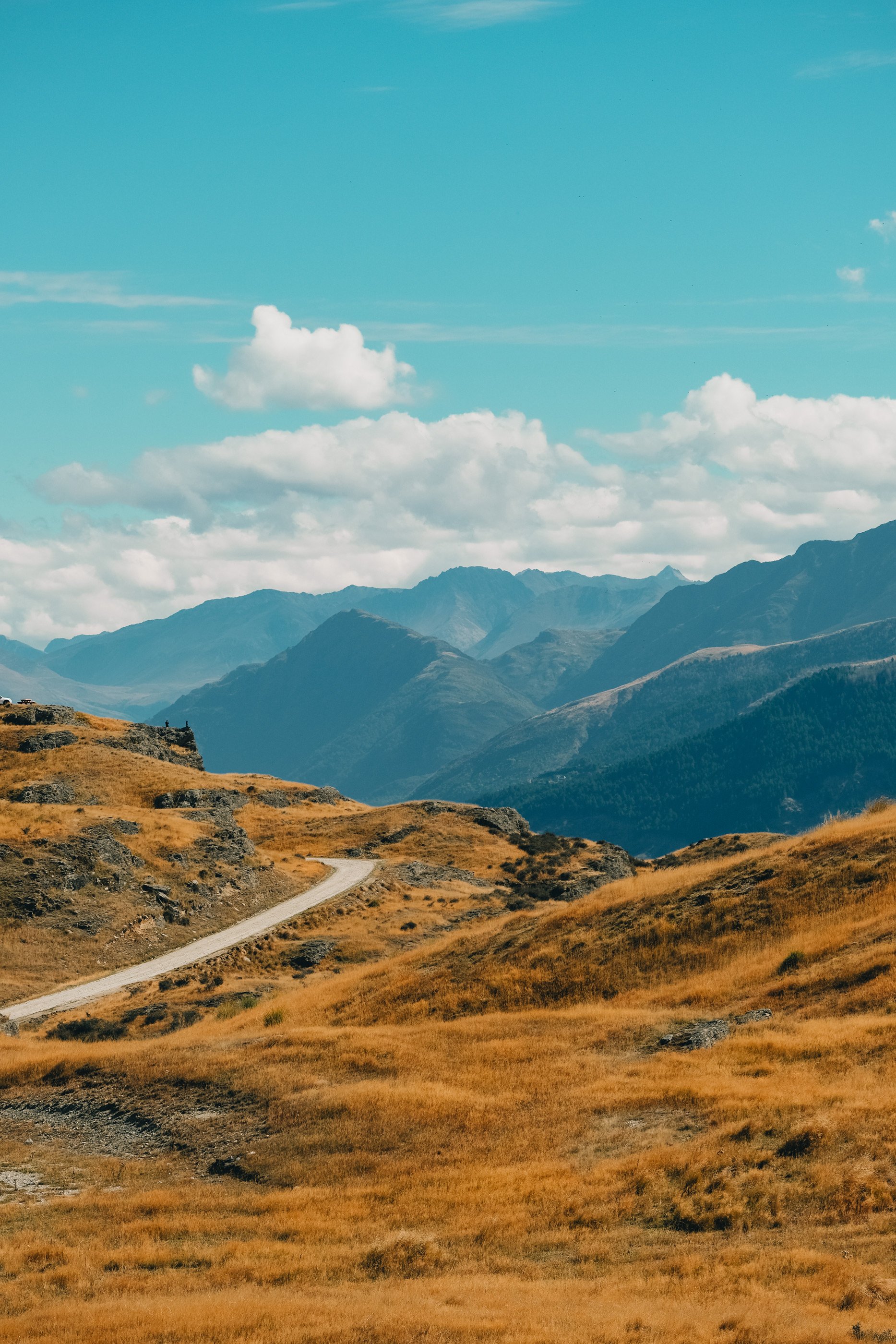 NZ_32.jpg