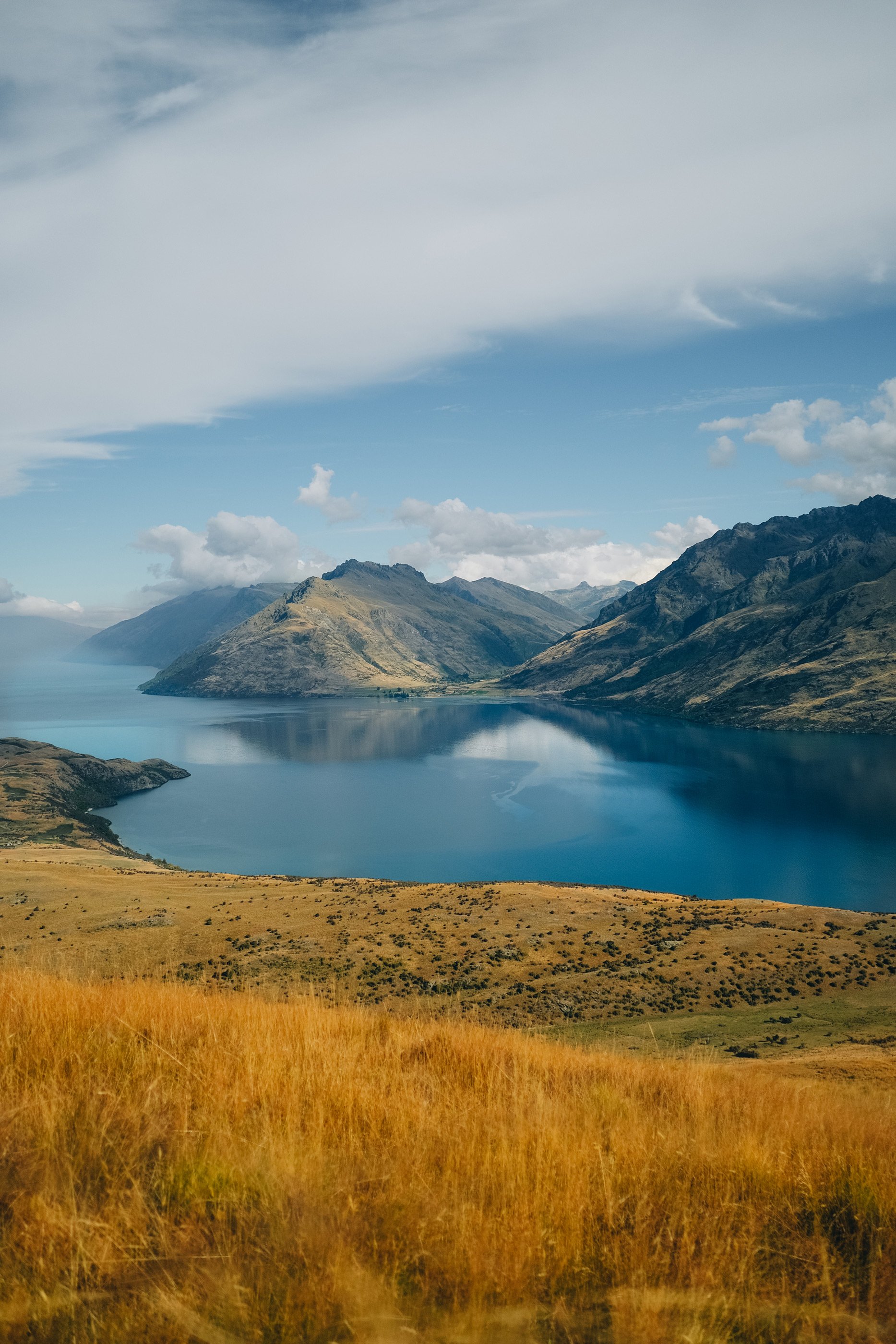NZ_34.jpg