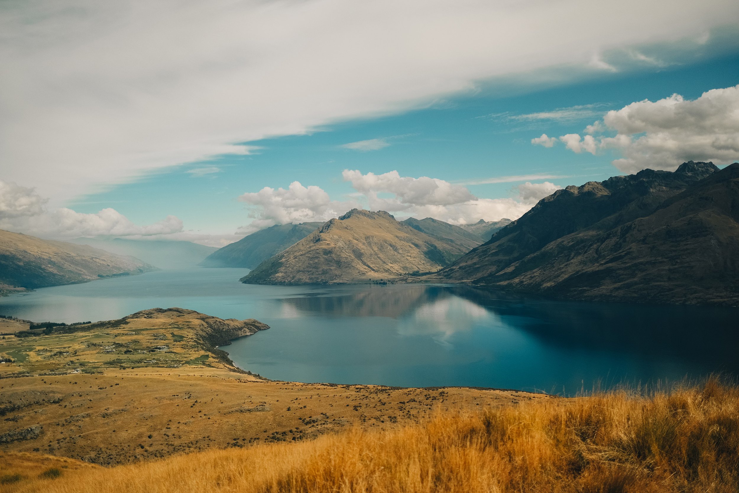 NZ_36.jpg