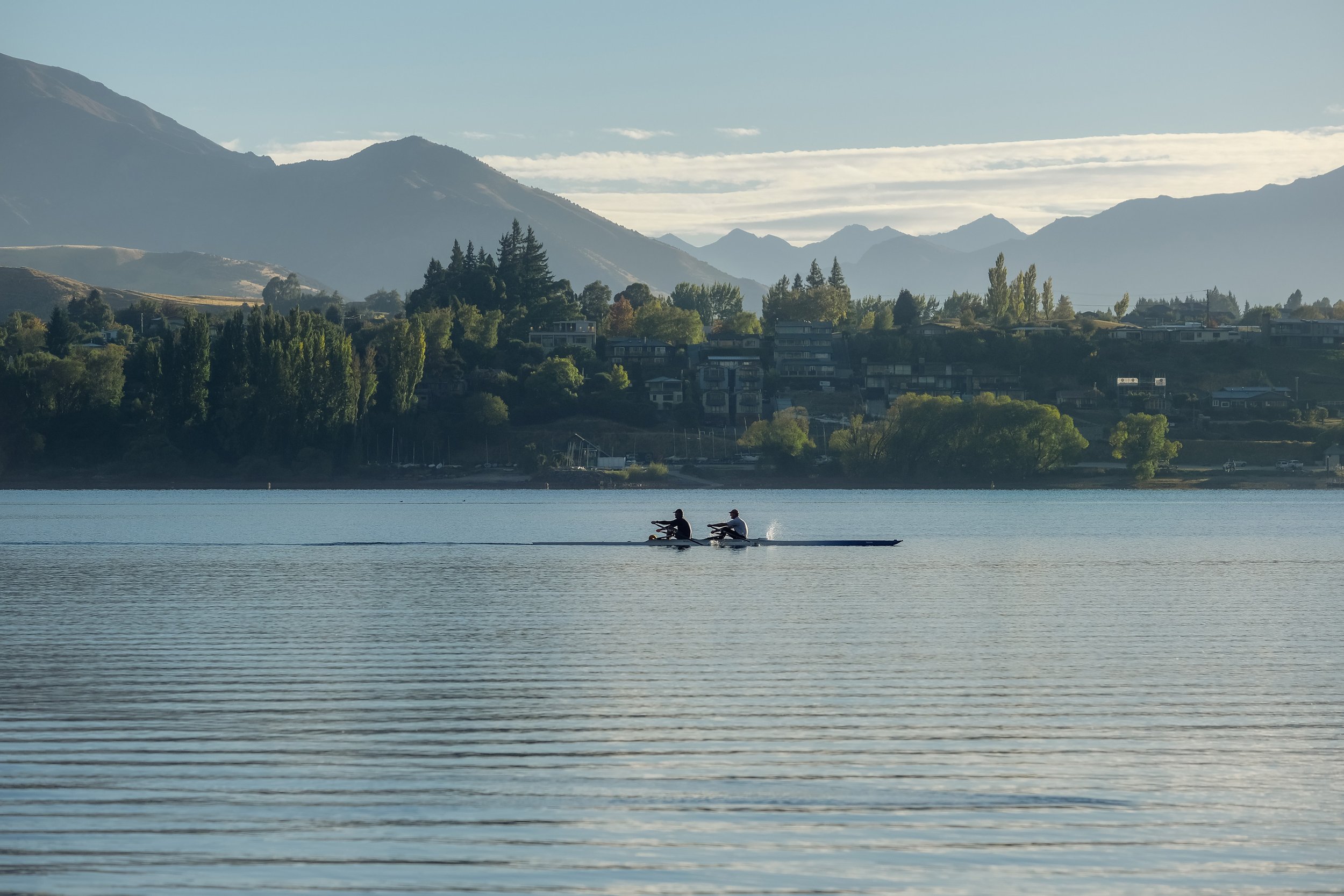 NZ_40.jpg
