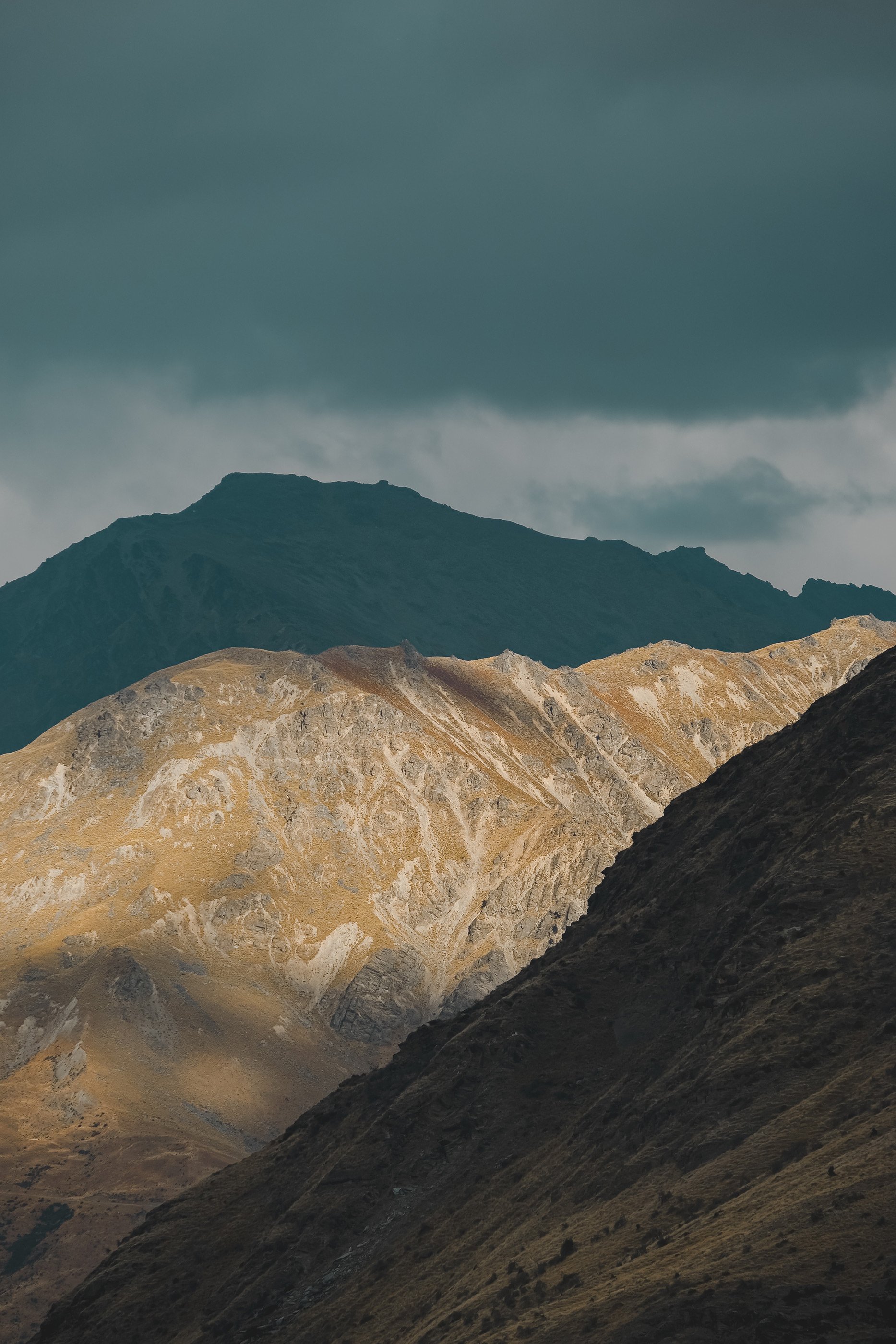 NZ_43.jpg