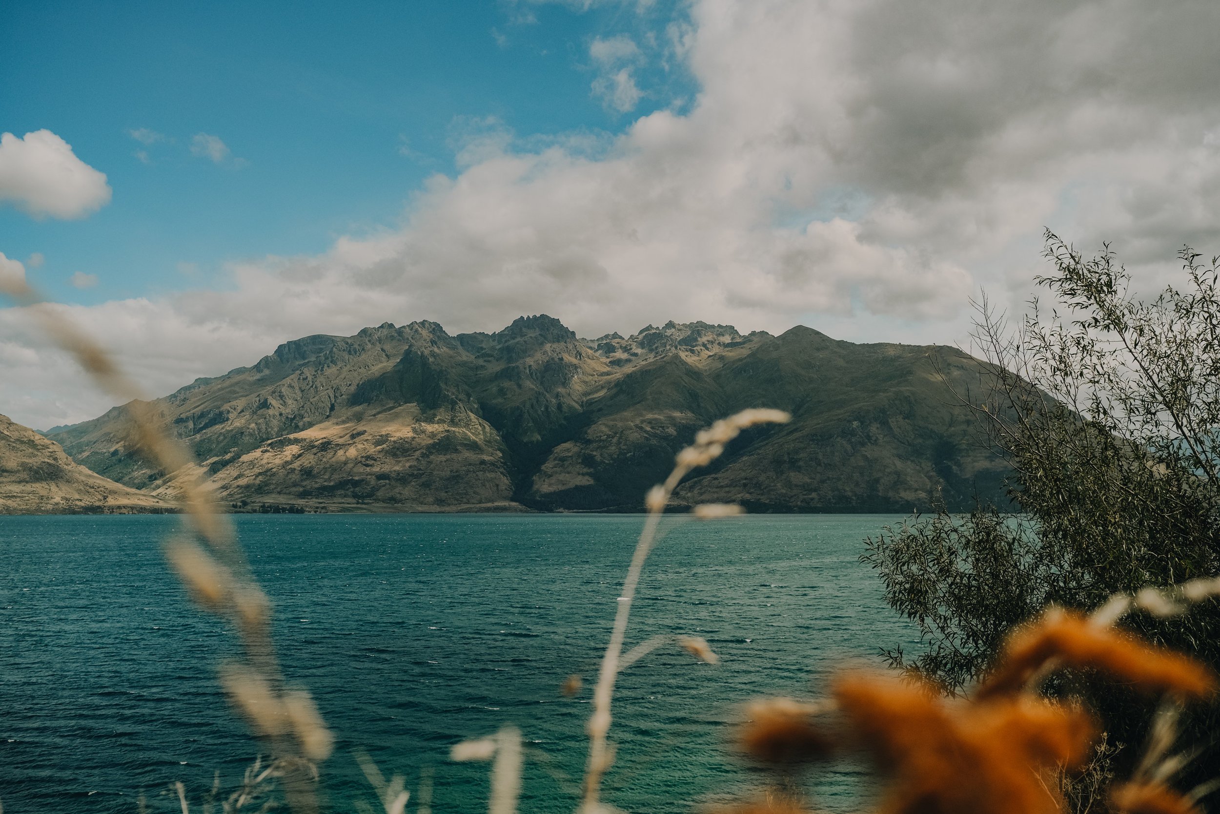 NZ_52.jpg
