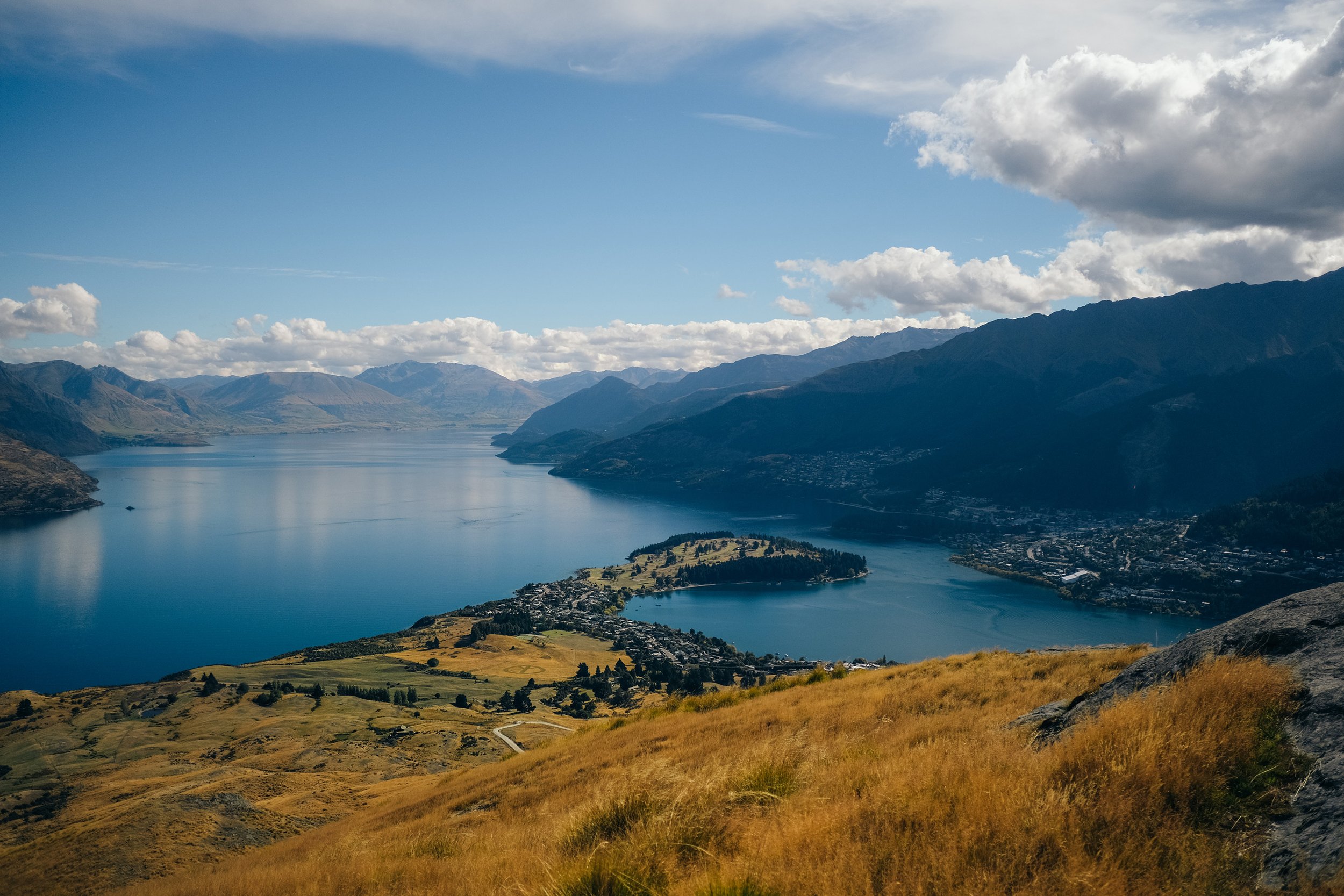 NZ_55.jpg