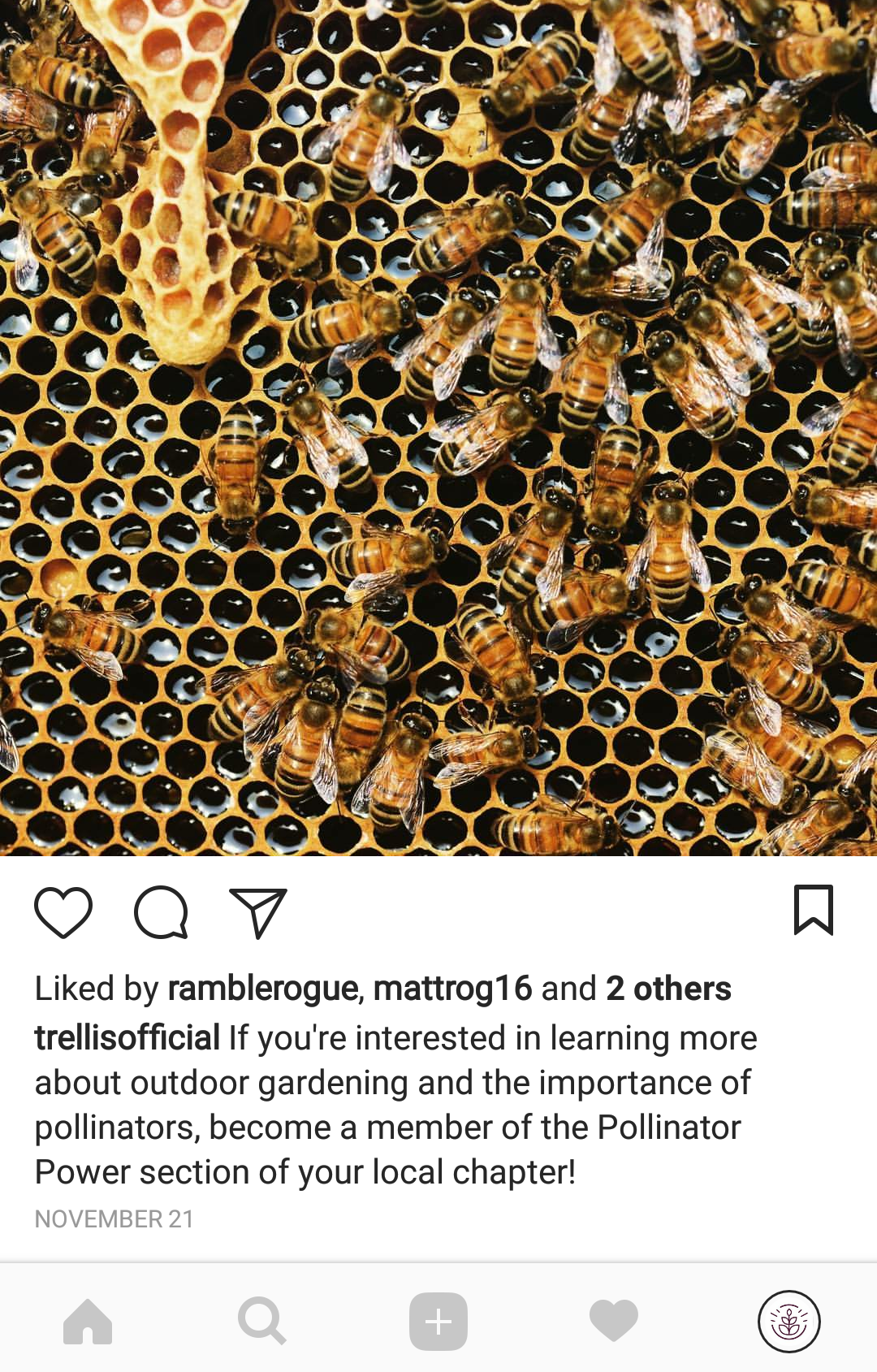Screenshot_20171205-005233.png