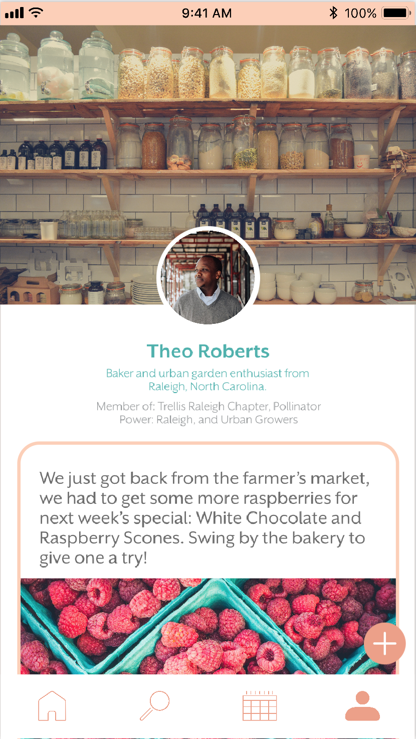 Trellis Profile Page 1.png