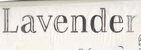 Masthead interation1.jpg