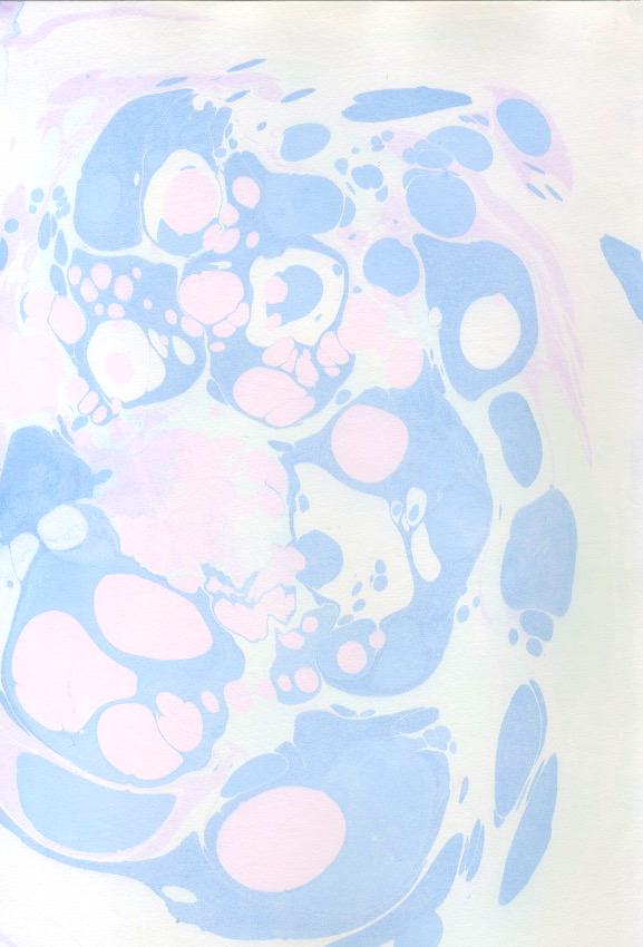 Blue_Pink_02.png