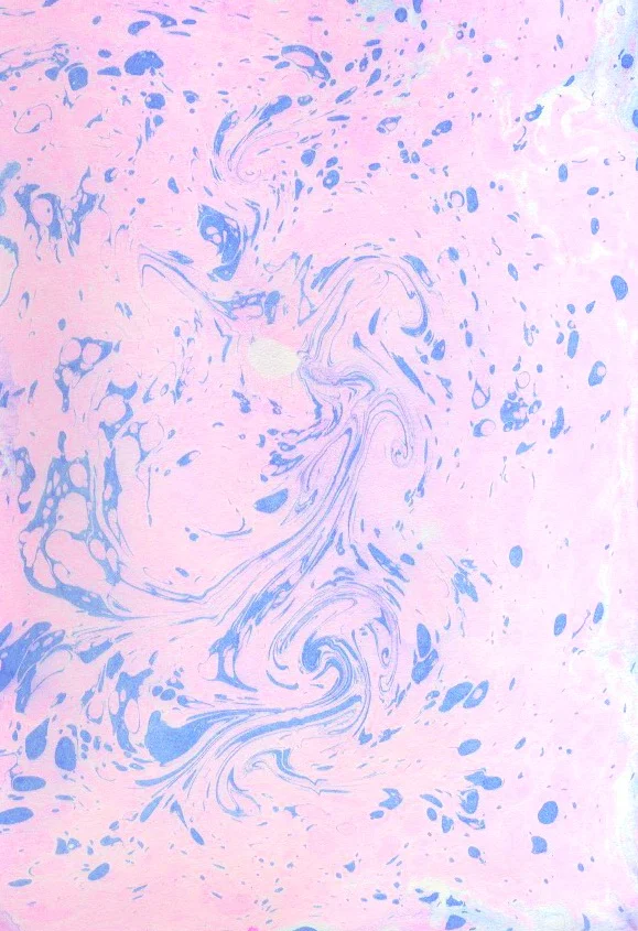Pink_Blue_01_v2.png