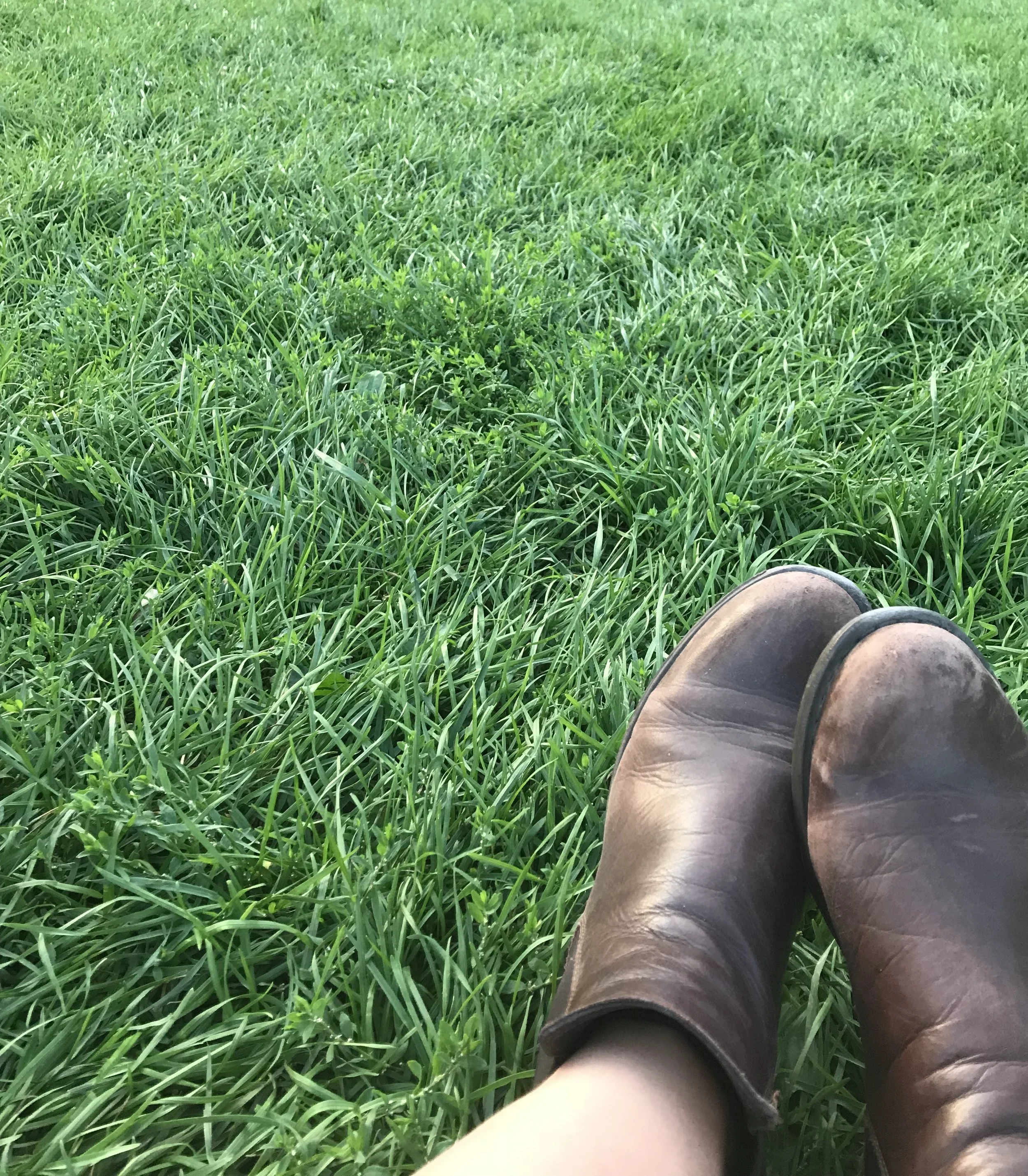 Grass and Shoes