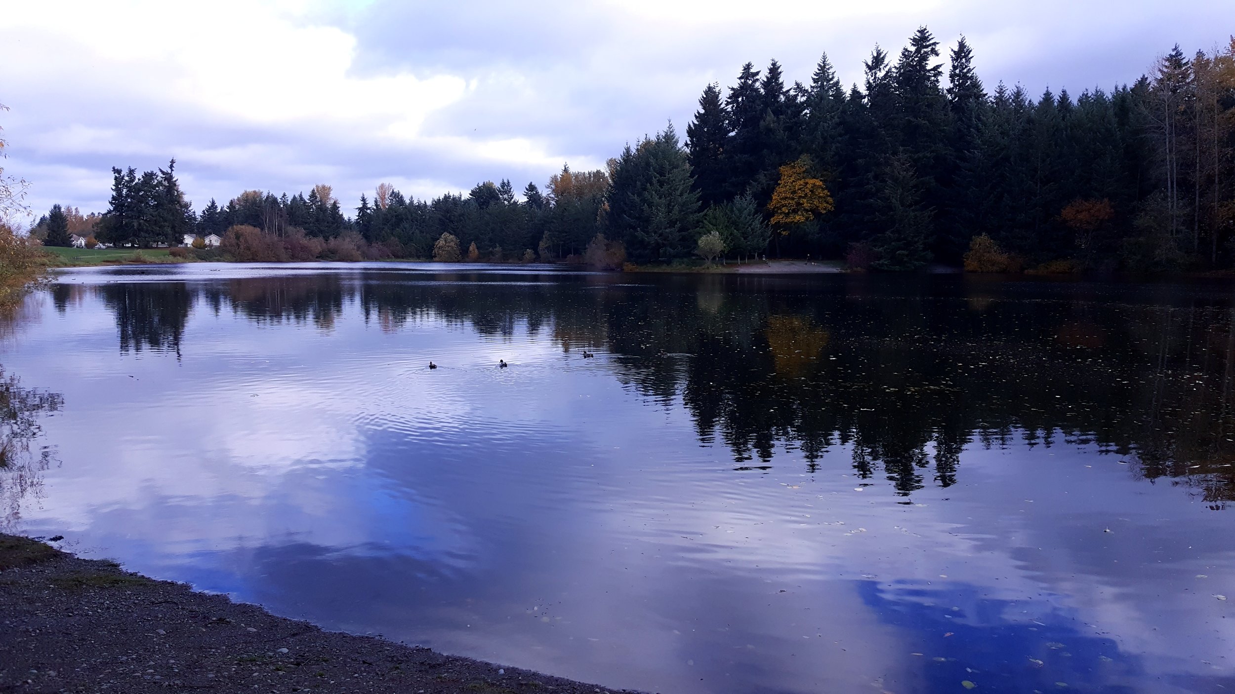 Bradley Lake on an autumn cloudy day