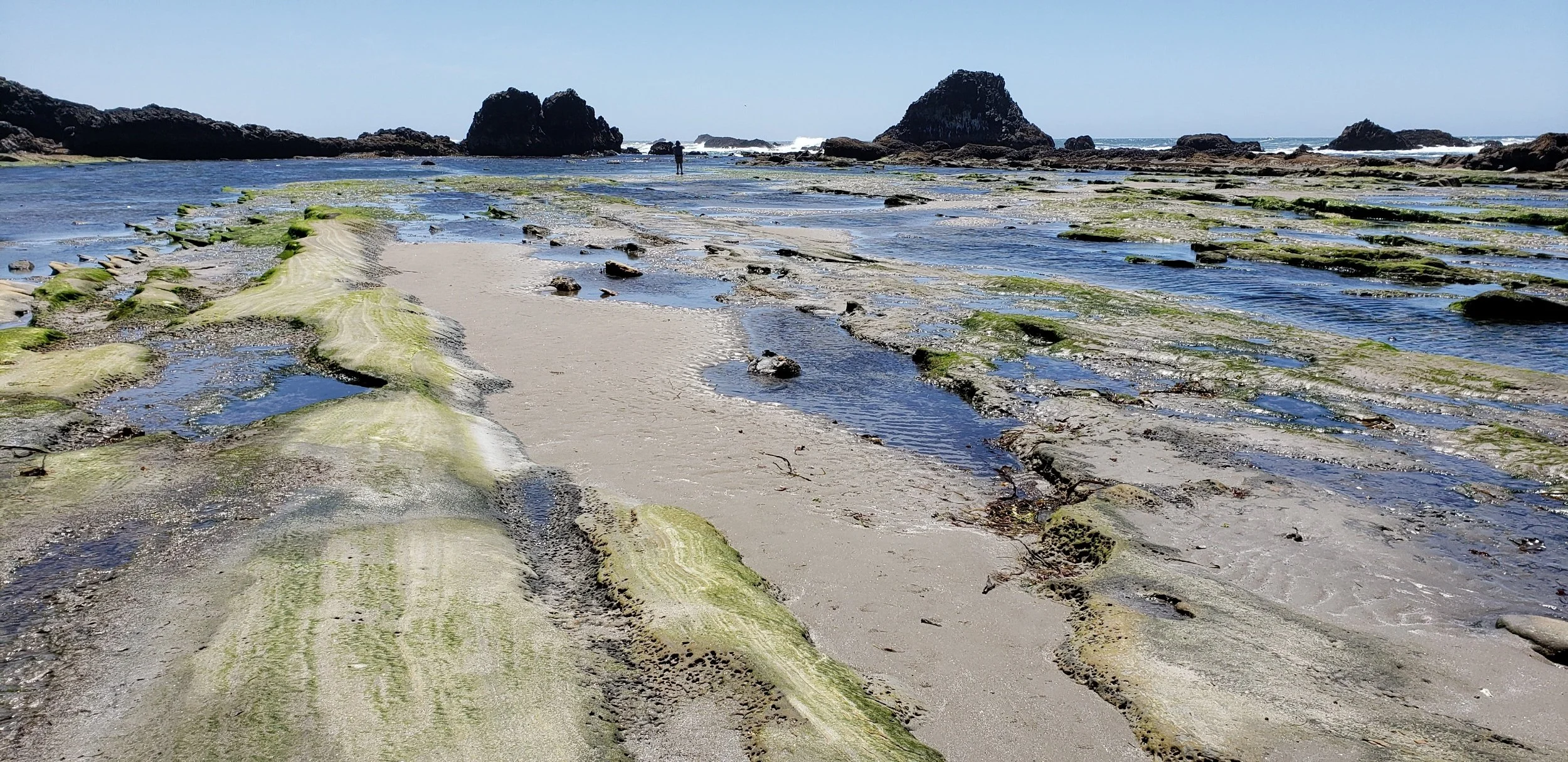Low tide at seal rock