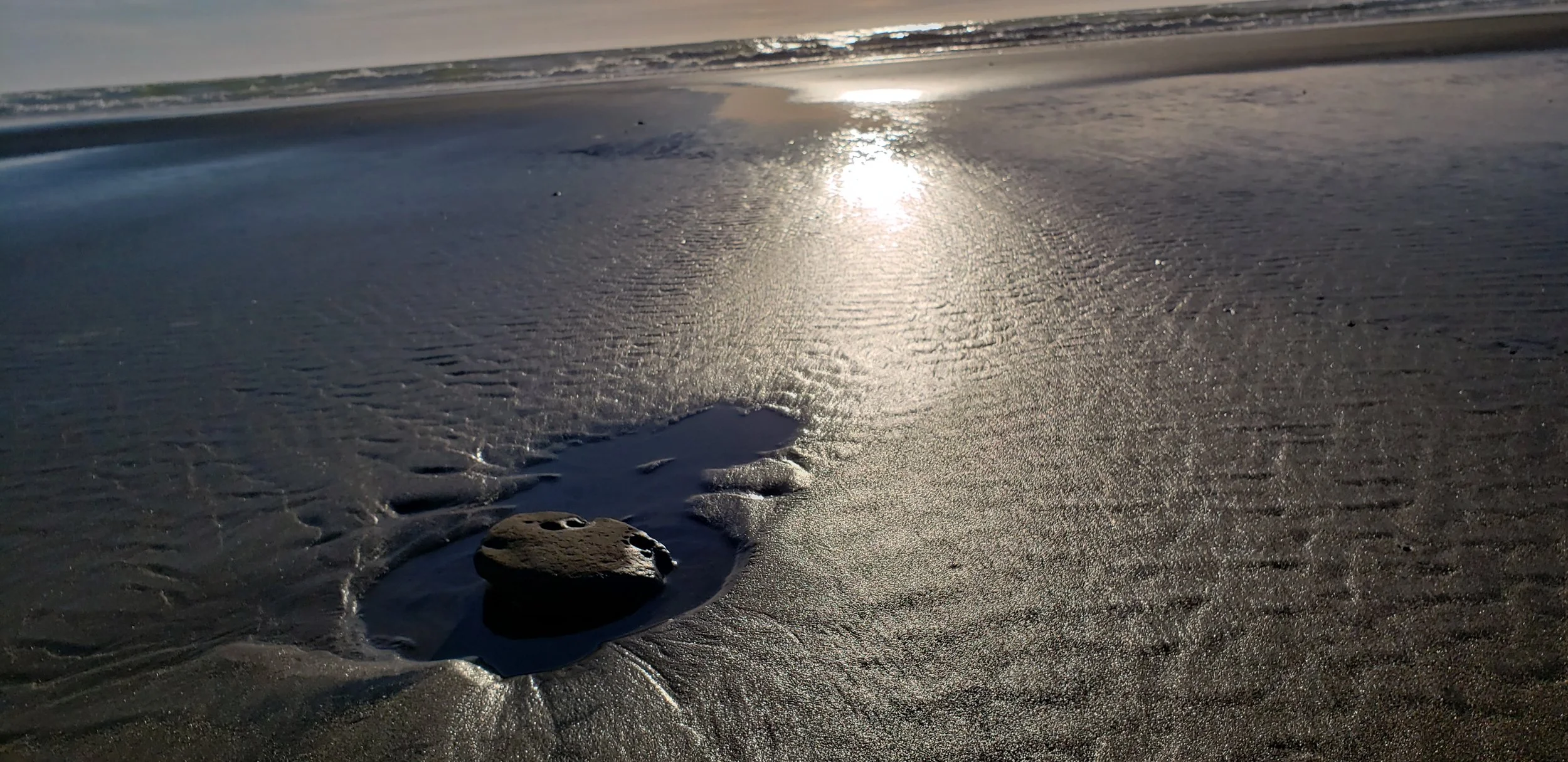  Rocks revealed during low tide at sunset. This was taken at Holiday Beach near Newport, Oregon.  