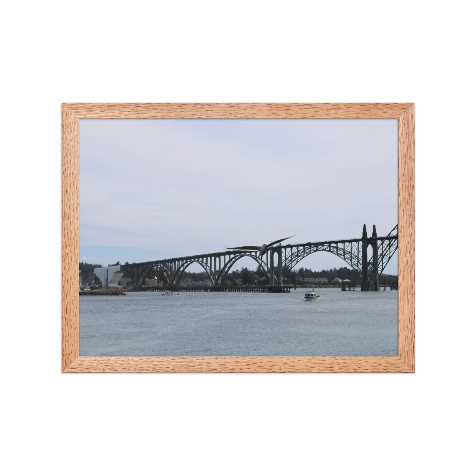 premium-luster-photo-paper-framed-poster-(in)-red-oak-12x16-front-69726b94b5569.jpg
