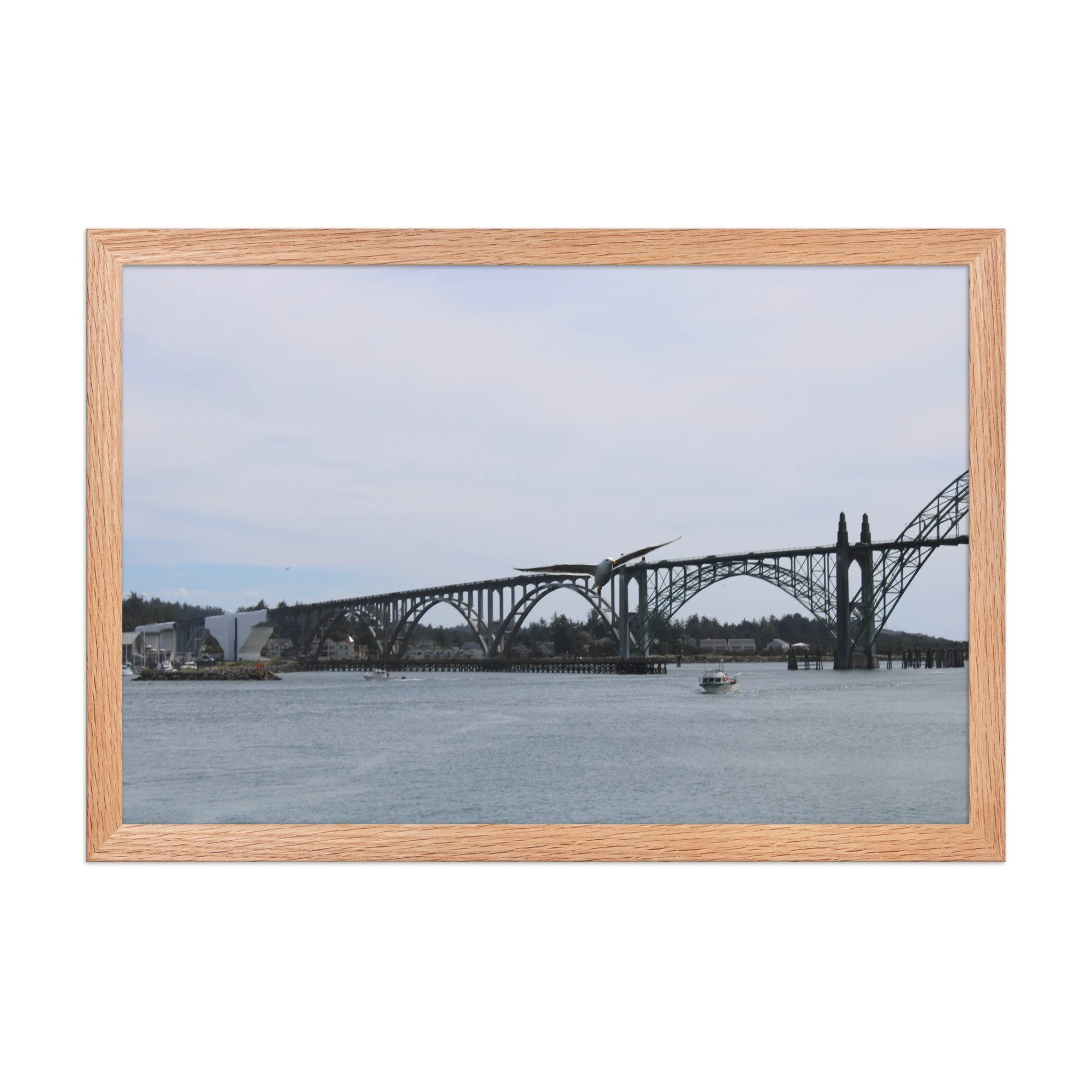 premium-luster-photo-paper-framed-poster-(in)-red-oak-12x18-front-69726b94b5a76.jpg