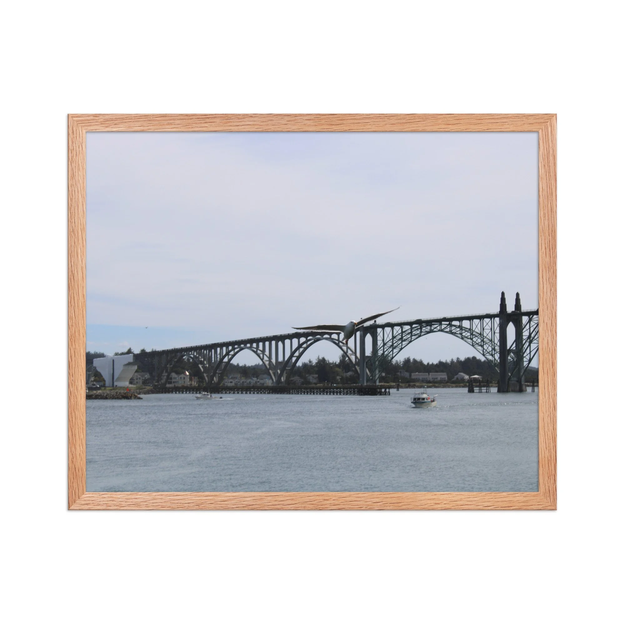 premium-luster-photo-paper-framed-poster-(in)-red-oak-16x20-front-69726b94b5f94.jpg