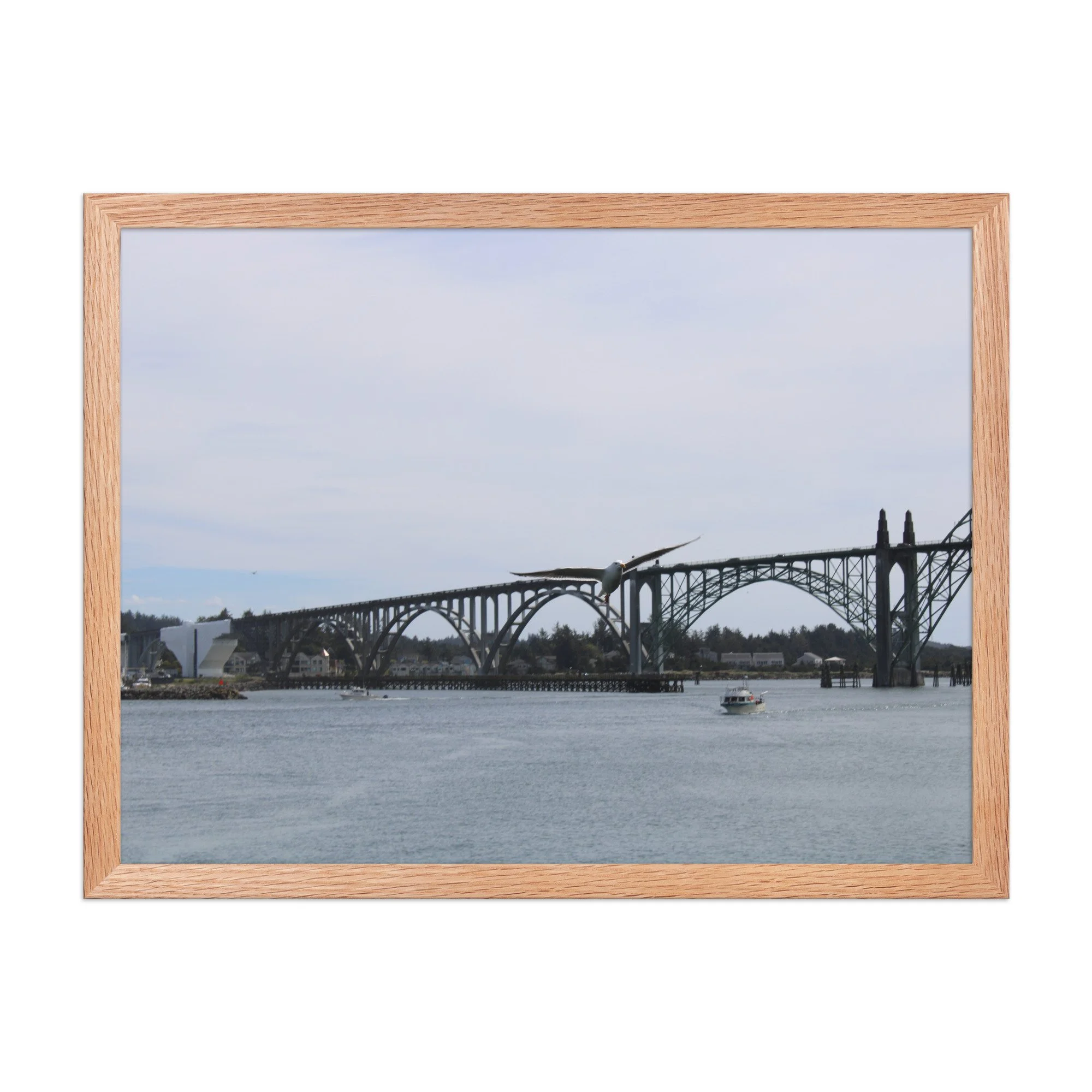 premium-luster-photo-paper-framed-poster-(in)-red-oak-18x24-front-69726b94b649d.jpg