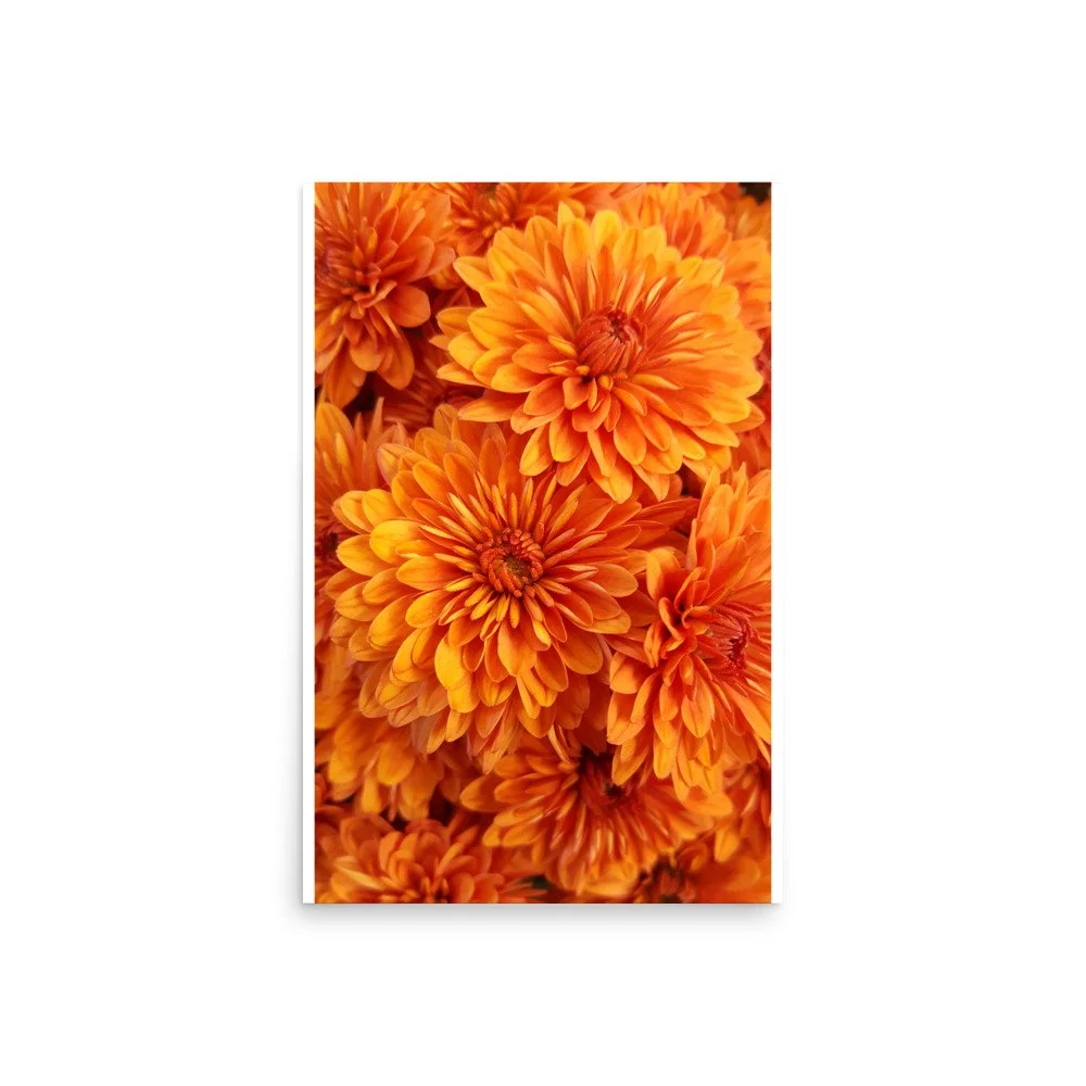 premium-luster-photo-paper-poster-(in)-20x30-front-69e43954877a3.jpg