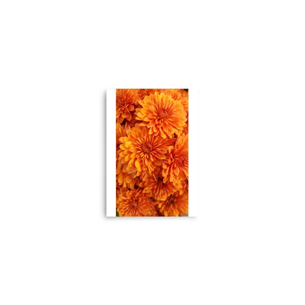 premium-luster-photo-paper-poster-(in)-5x7-front-69e4395486f08.jpg