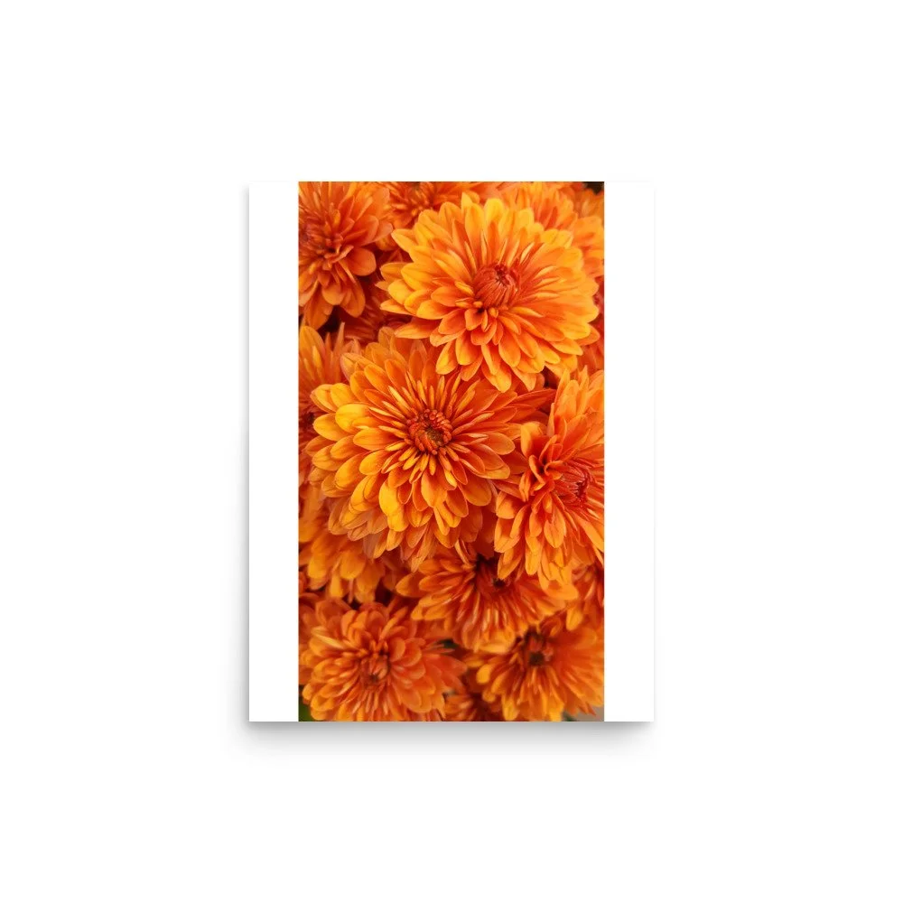 premium-luster-photo-paper-poster-(in)-12x16-front-69e4395484510.jpg