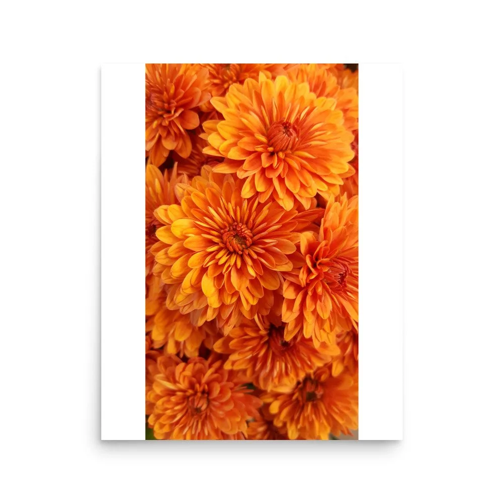 premium-luster-photo-paper-poster-(in)-16x20-front-69e43954855e9.jpg