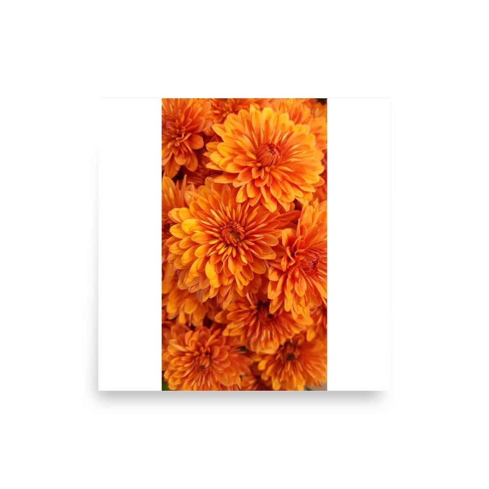 premium-luster-photo-paper-poster-(in)-18x18-front-69e43954859fa.jpg