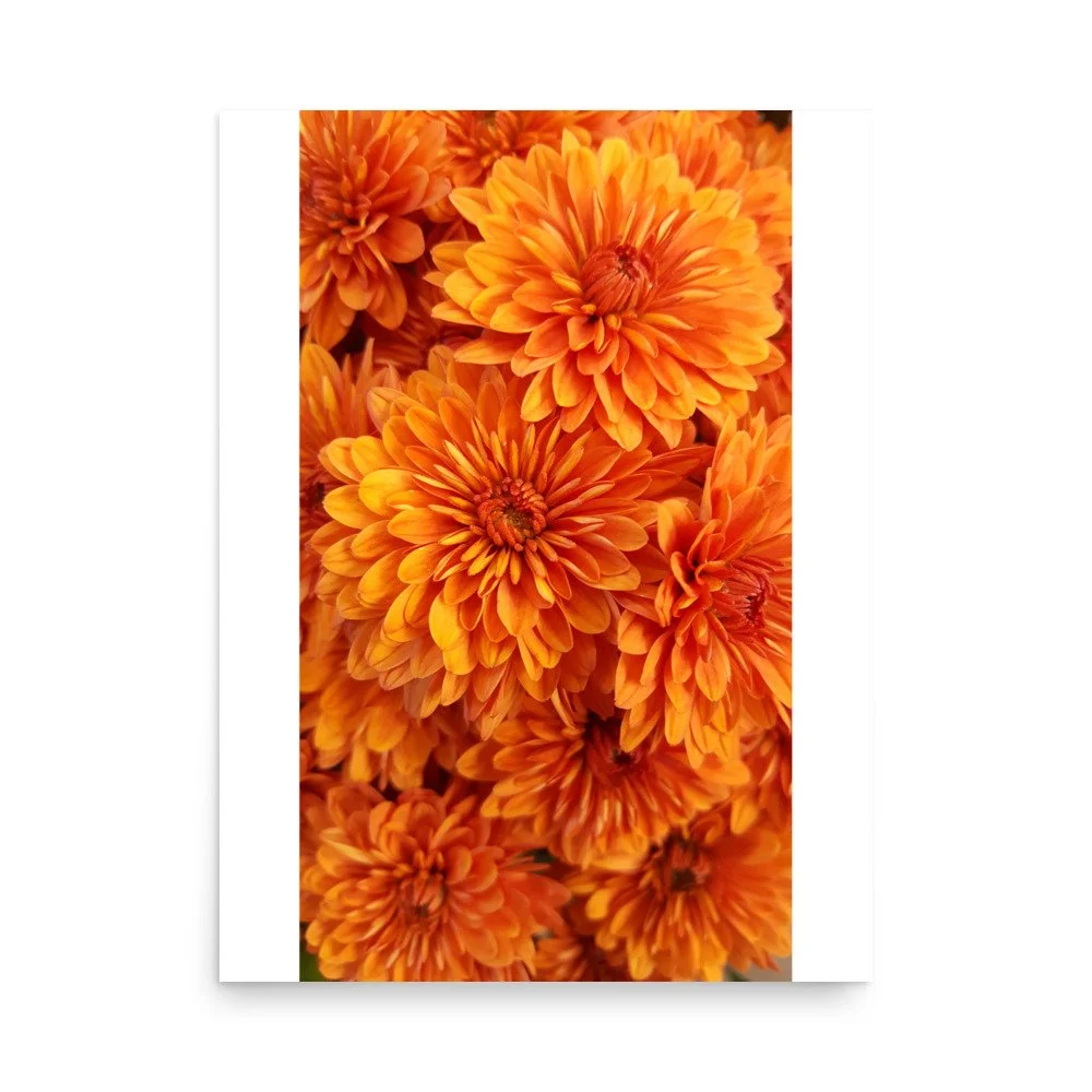 premium-luster-photo-paper-poster-(in)-18x24-front-69e4395485e2b.jpg