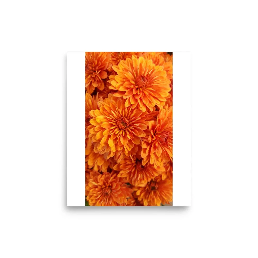 premium-luster-photo-paper-poster-(in)-8x10-front-69e439548379b.jpg
