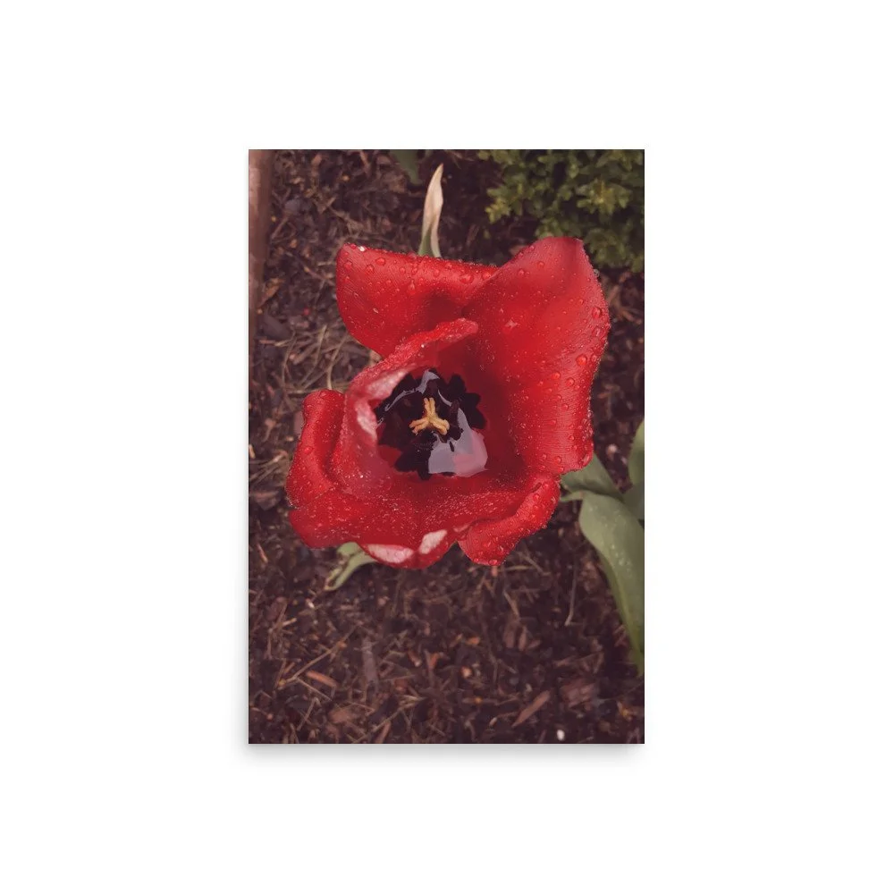 premium-luster-photo-paper-poster-(in)-20x30-front-69e446ce750ed.jpg