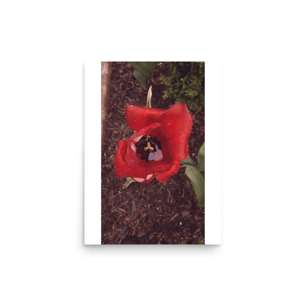 premium-luster-photo-paper-poster-(in)-12x16-front-69e446ce6d7b8.jpg