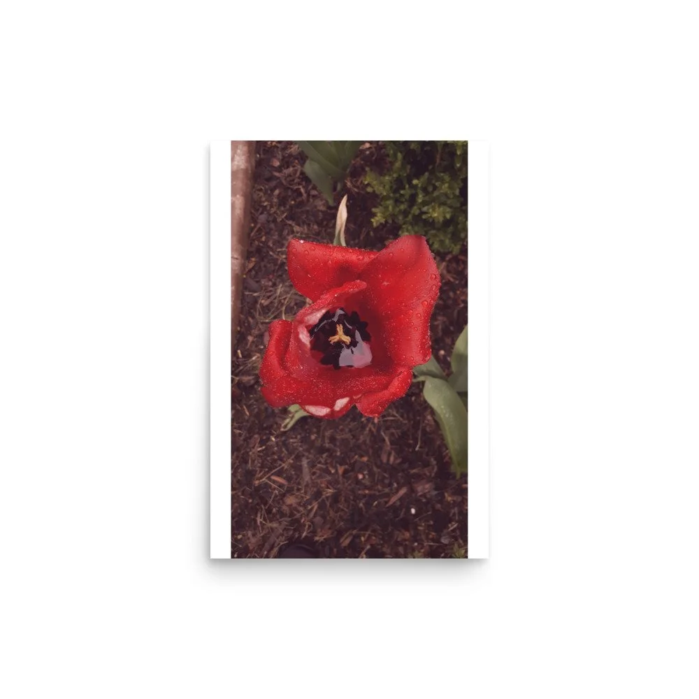 premium-luster-photo-paper-poster-(in)-12x18-front-69e446ce6e3e3.jpg