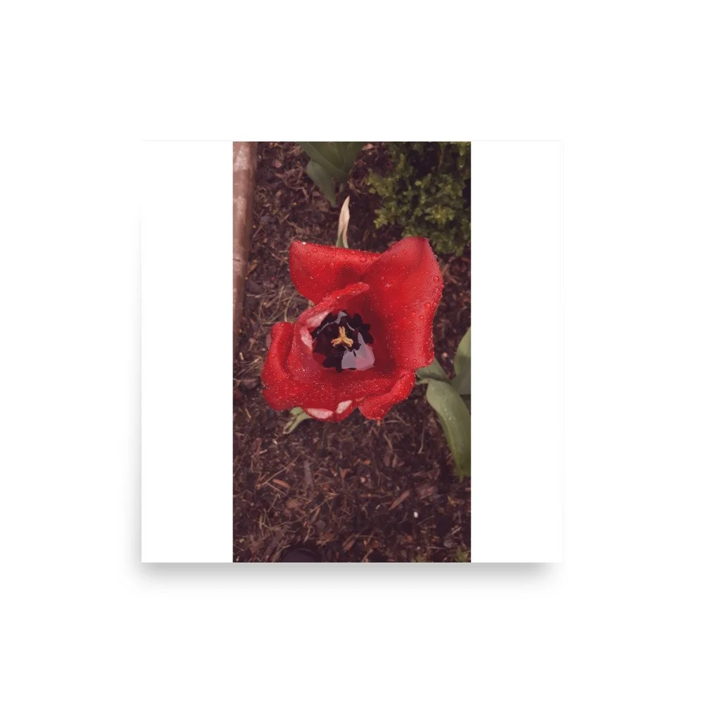 premium-luster-photo-paper-poster-(in)-14x14-front-69e446ce6f021.jpg