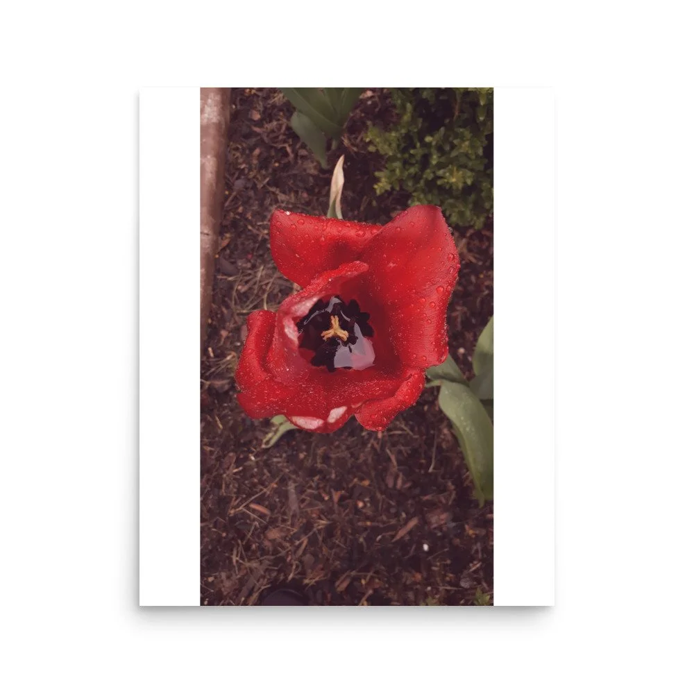 premium-luster-photo-paper-poster-(in)-16x20-front-69e446ce70843.jpg