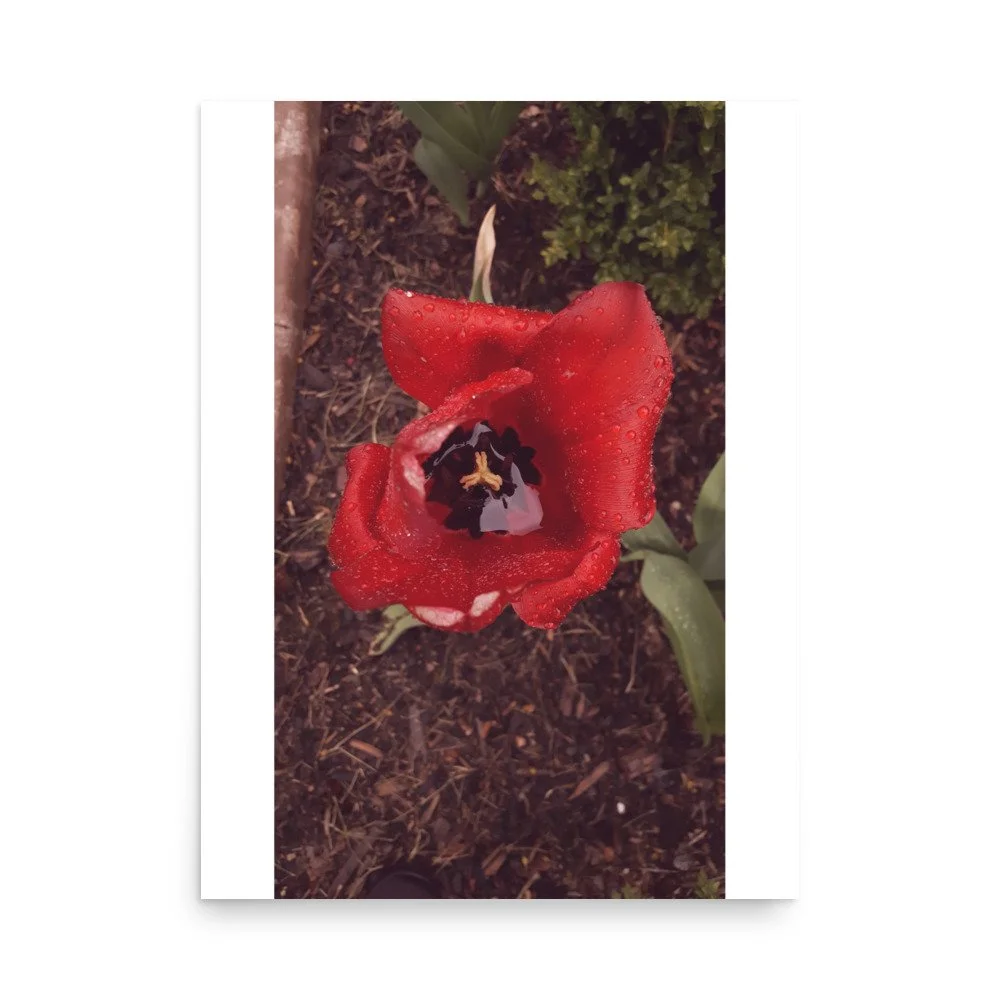 premium-luster-photo-paper-poster-(in)-18x24-front-69e446ce72086.jpg